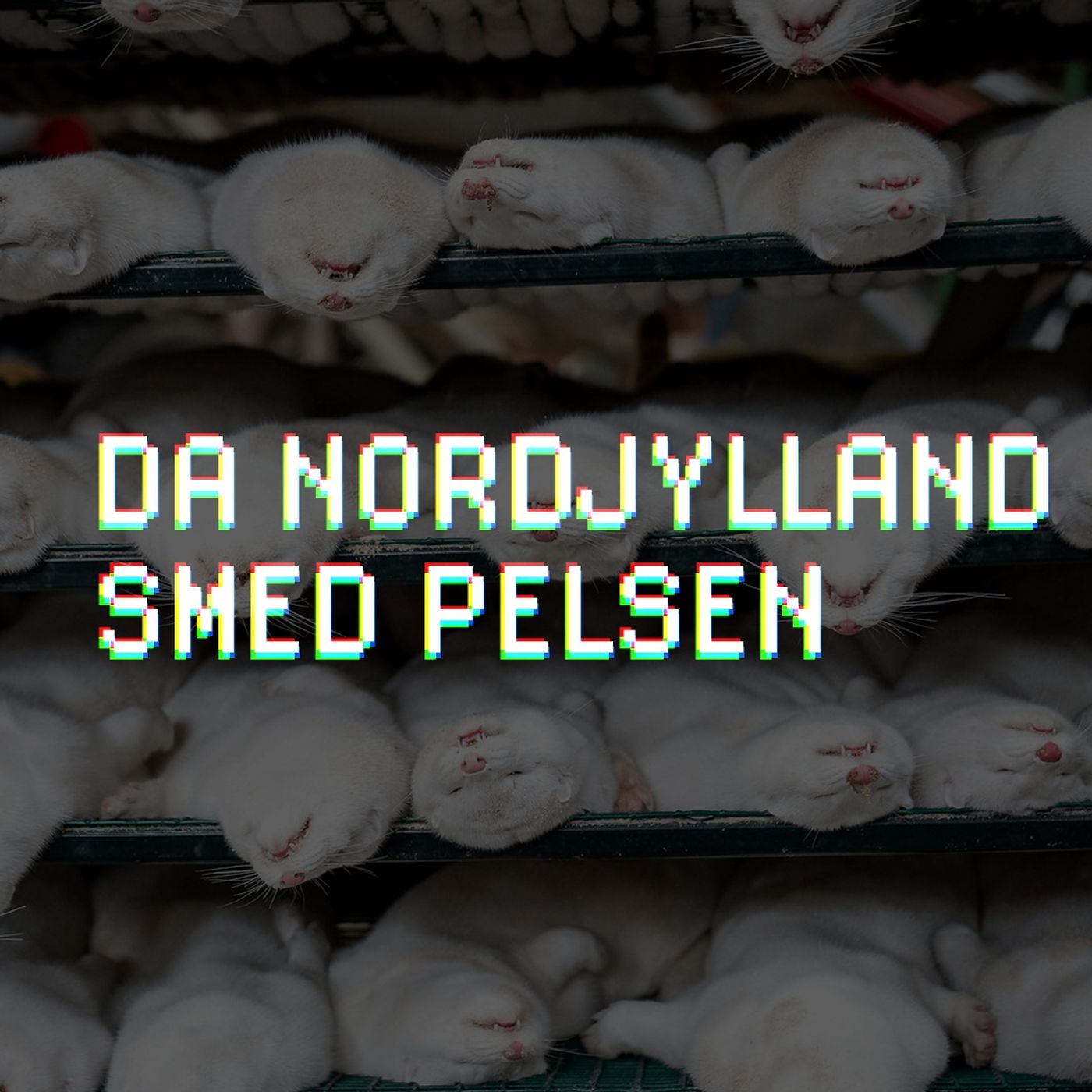 TV2 Nord Undersøger