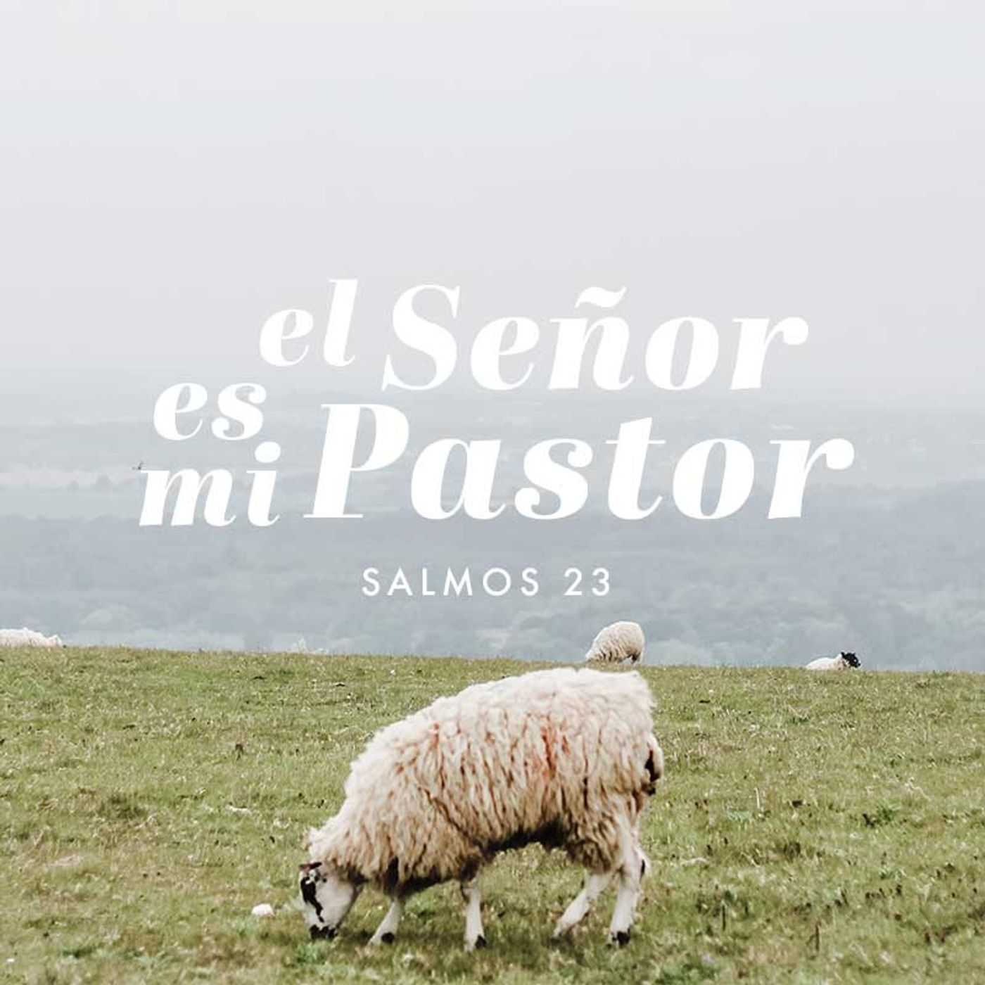 El bien y la misericordia