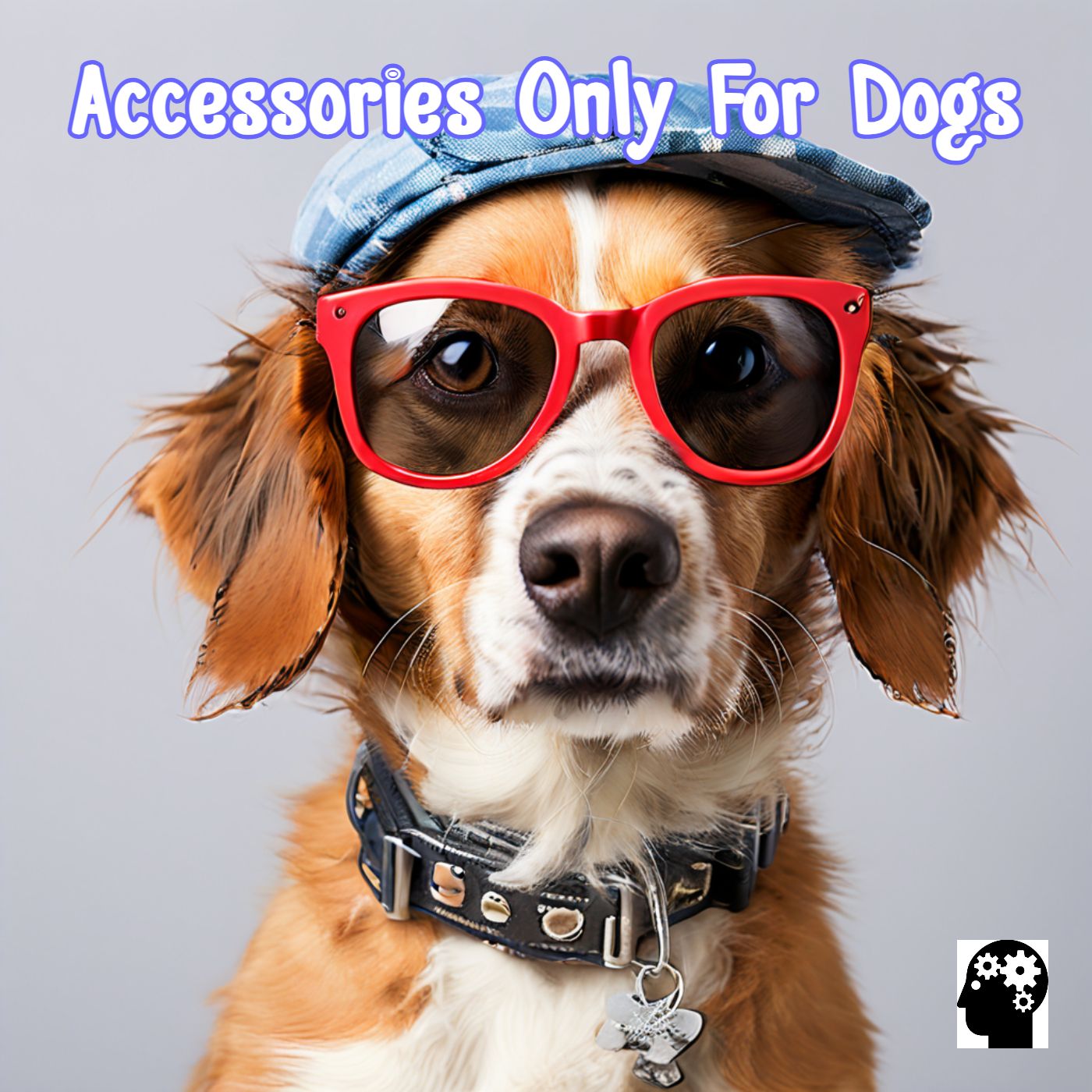 Top Dog Accessories