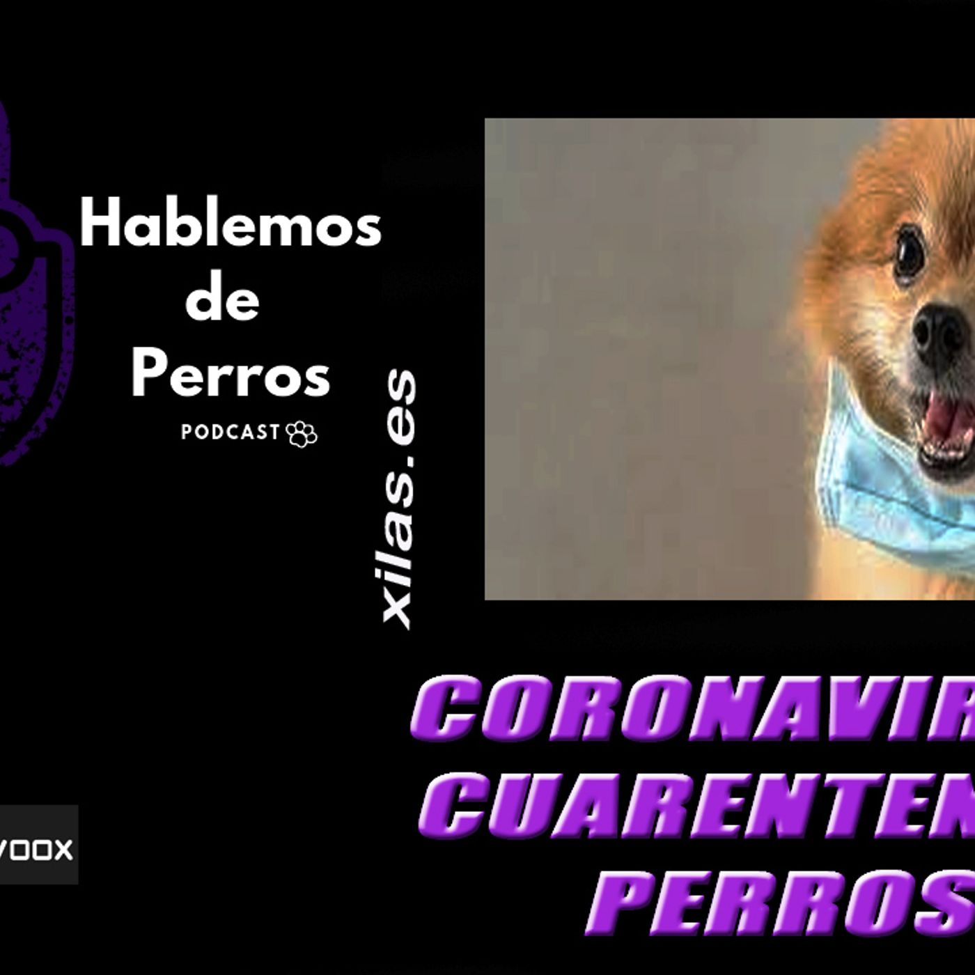 Hablemos de perros