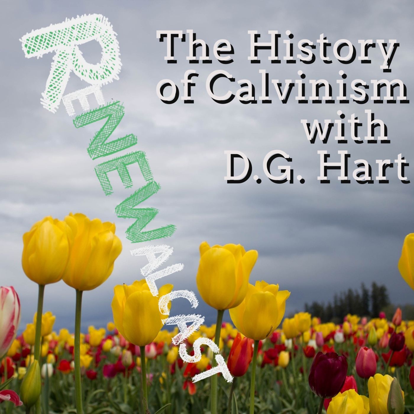 The History of Calvinism with D.G. Hart