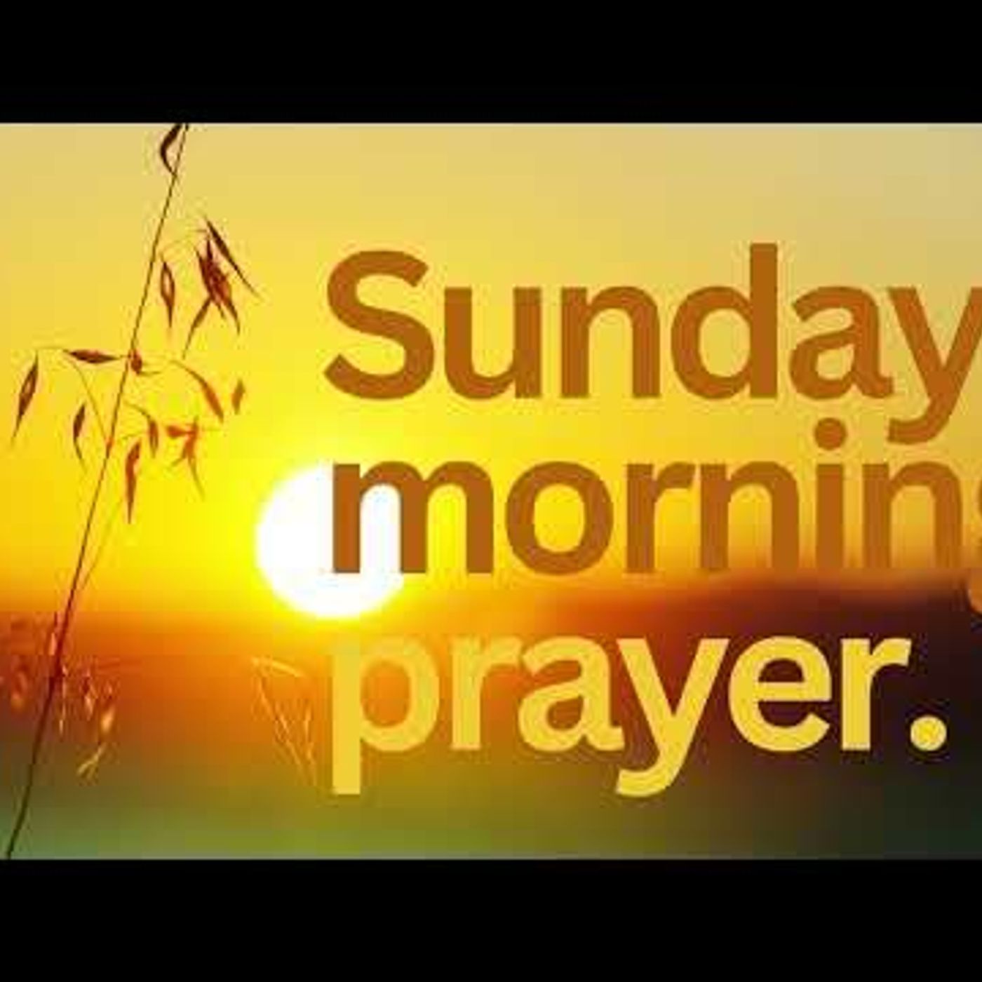 PT&HC Sunday Morning Prayer Call (Michelle McQueen Bradley) July 7, 2024 episode artwork