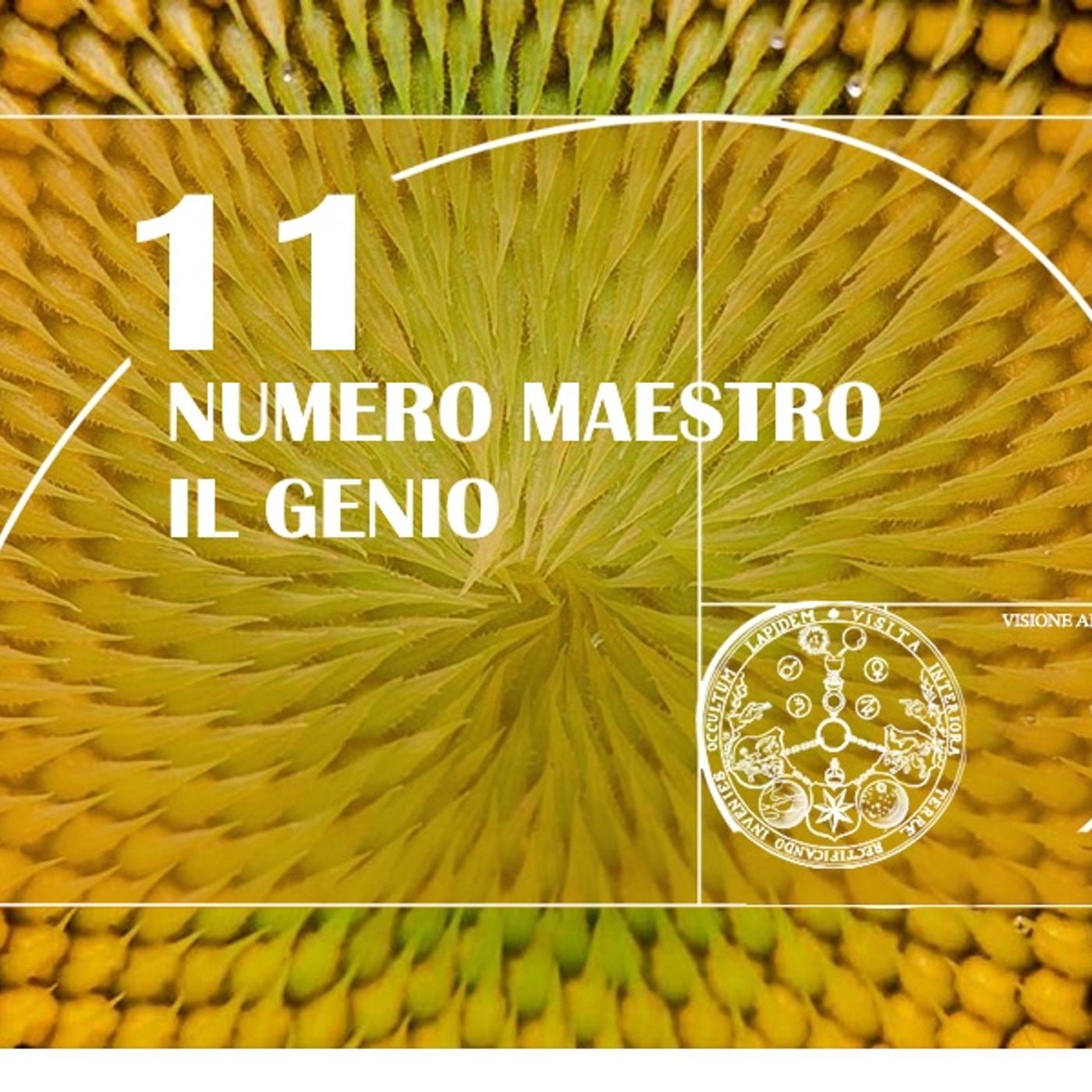 Visione Alchemica