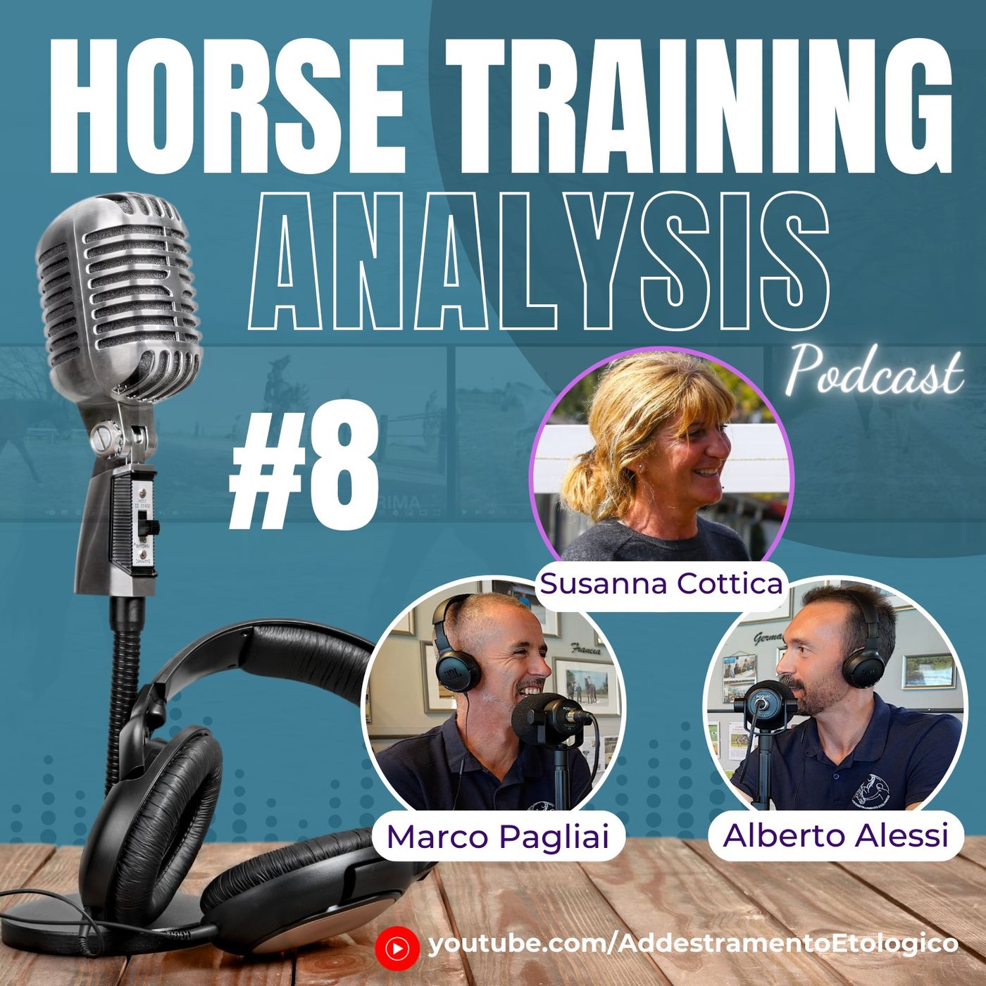 Horse Training Analysis
