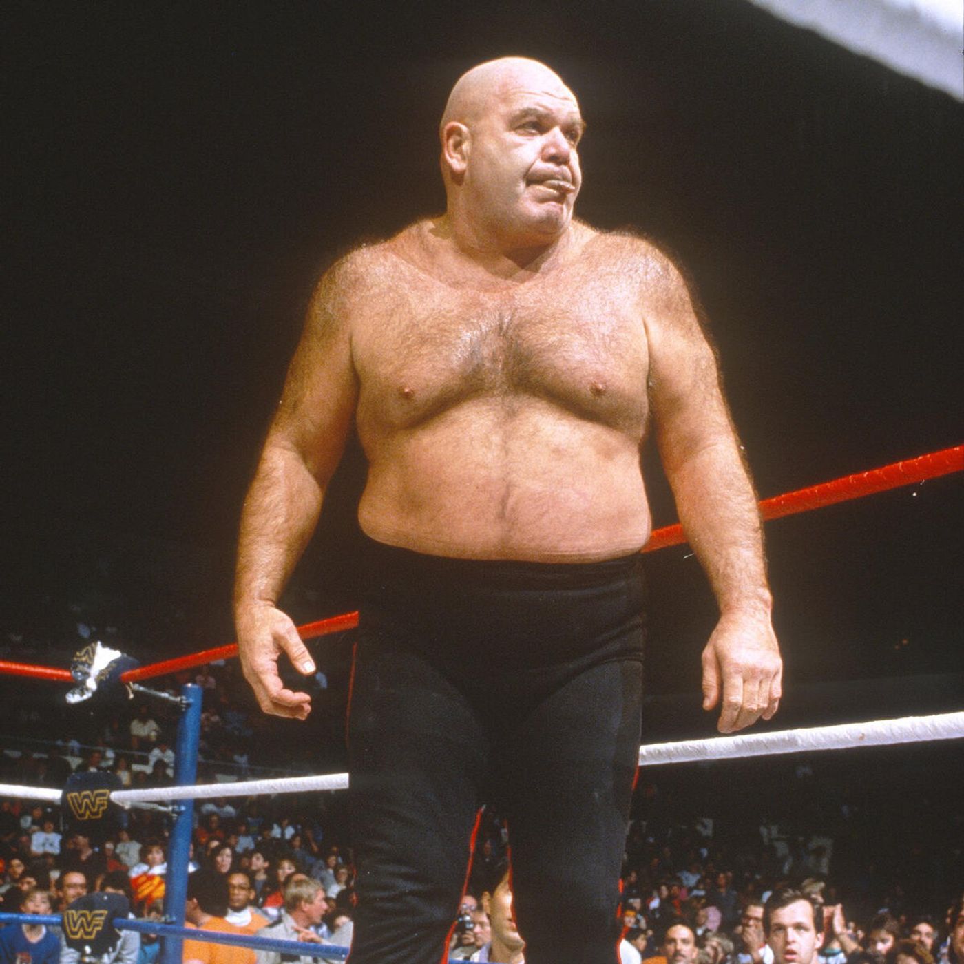 Wrestling Shoot Interviews and stories