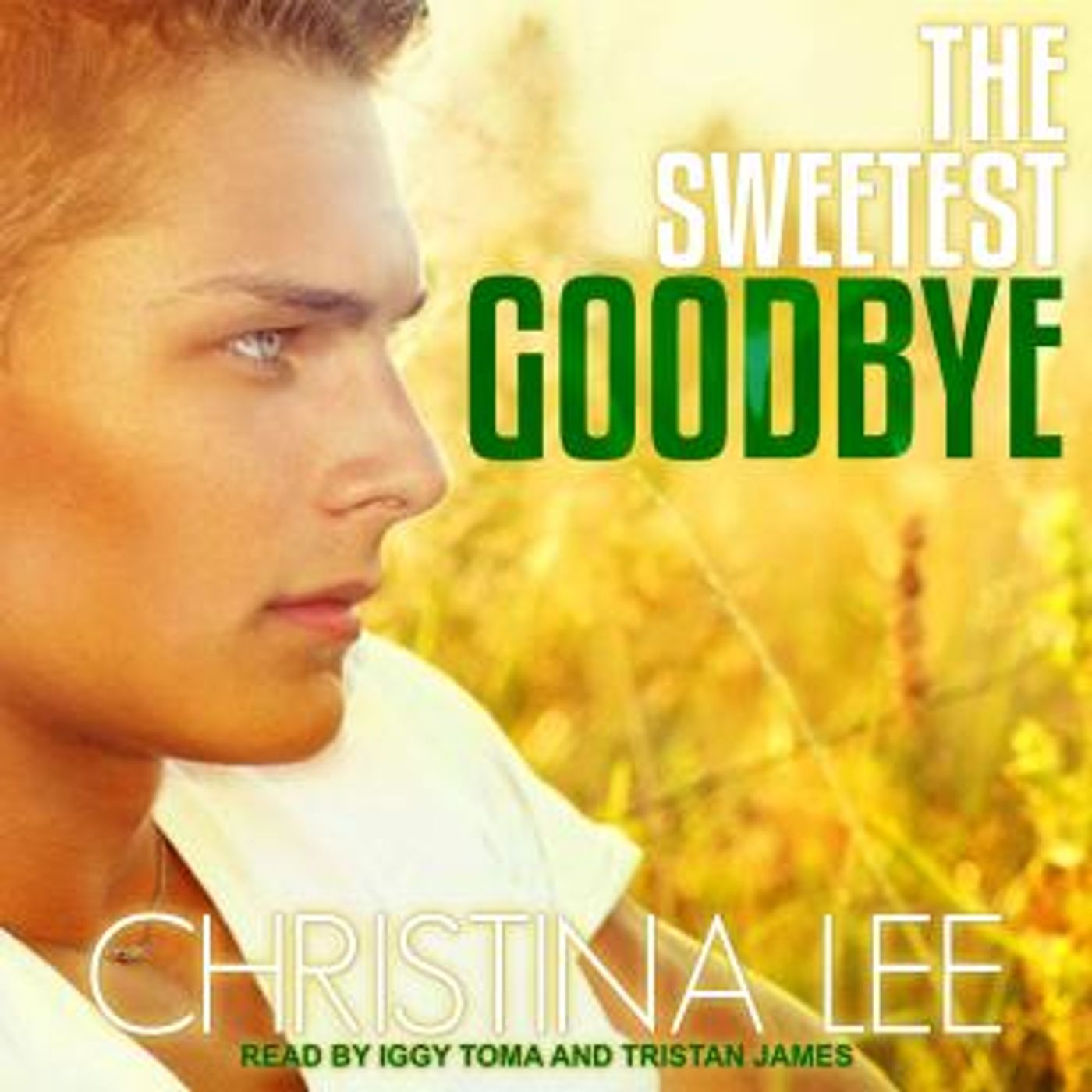 Stream Popular Full Audiobooks in Romance, LGBTQ+