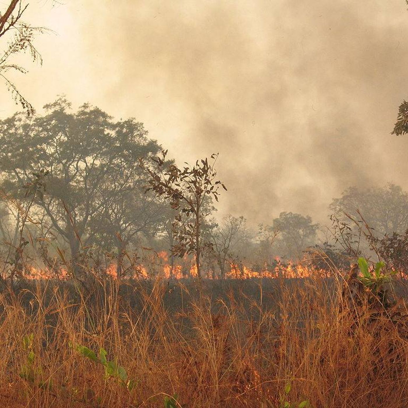 Studio Kalangou (français)