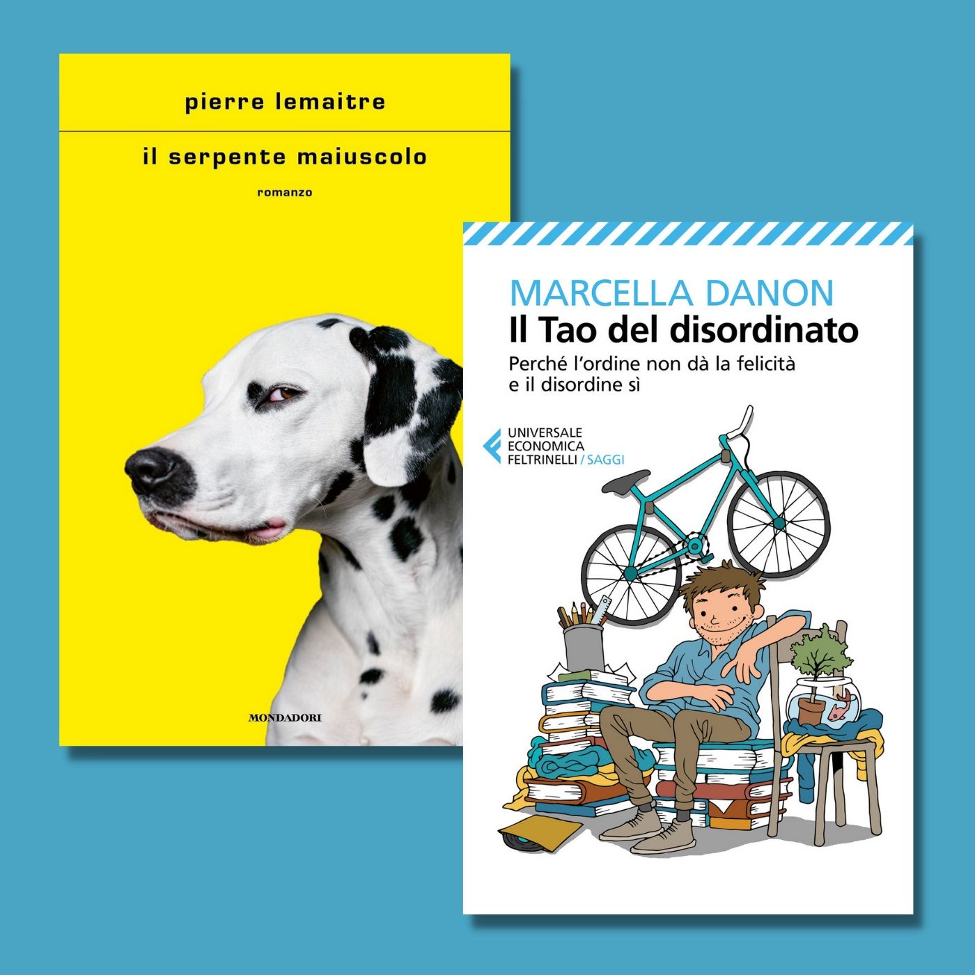 Archivio: Bookblister