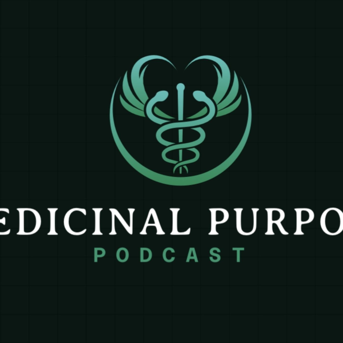 we are discussing healthy eating habits podcast artwork