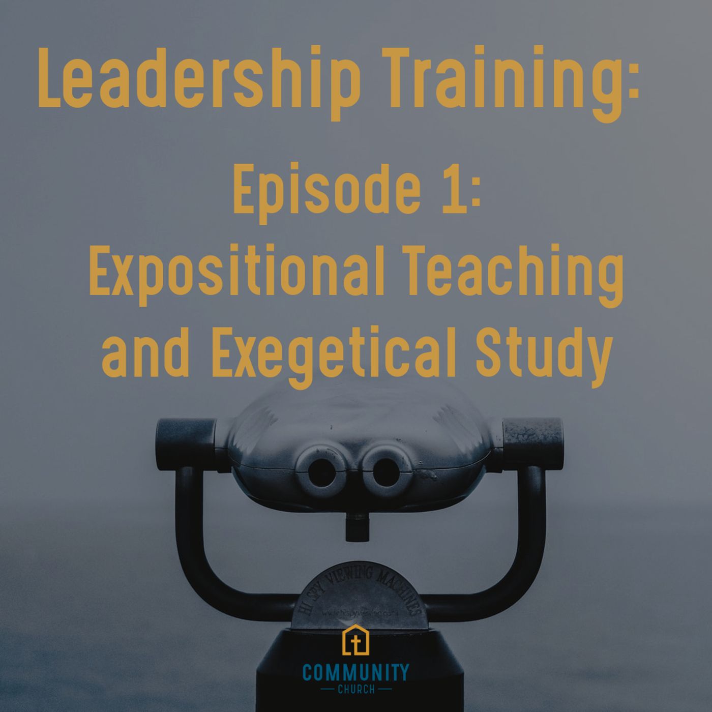Leadership Training | Episode 1 episode artwork