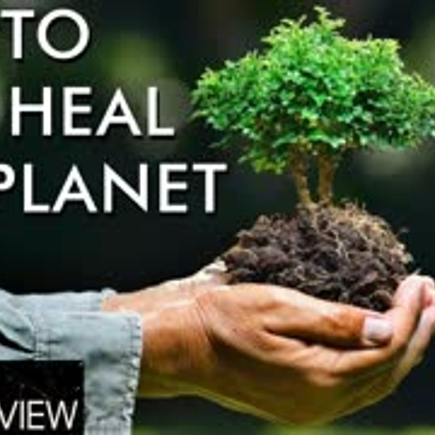 cover of episode Environmental Crisis Heats Up, Can We Use Blockchain to Reverse the Tide