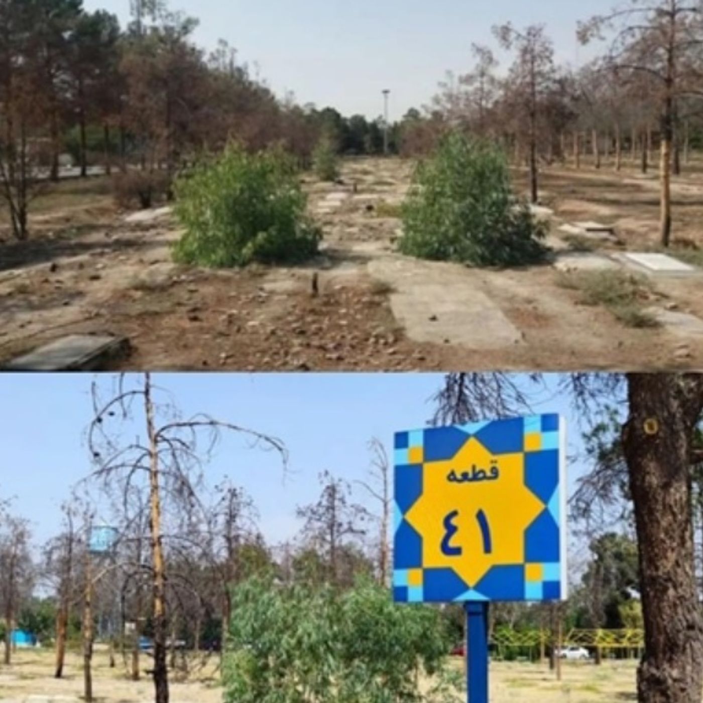 اعتراض جهانی به محو شواهد اعدامهای جمعی