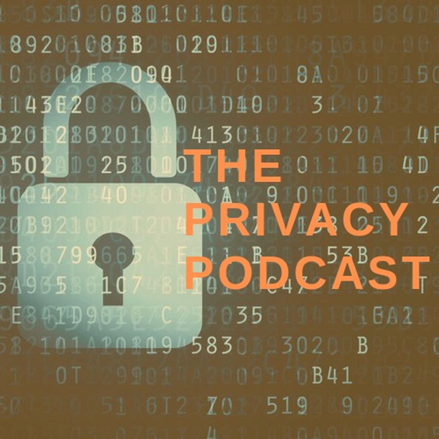 The Privacy Podcast