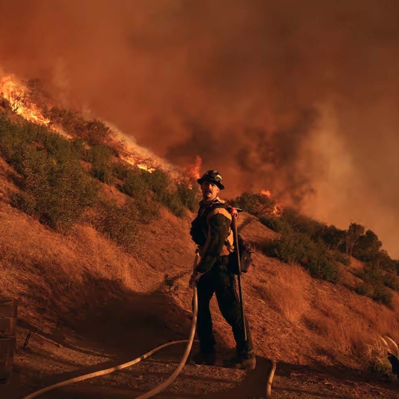 LA Fires, Trump Confirmation Hearings episode artwork