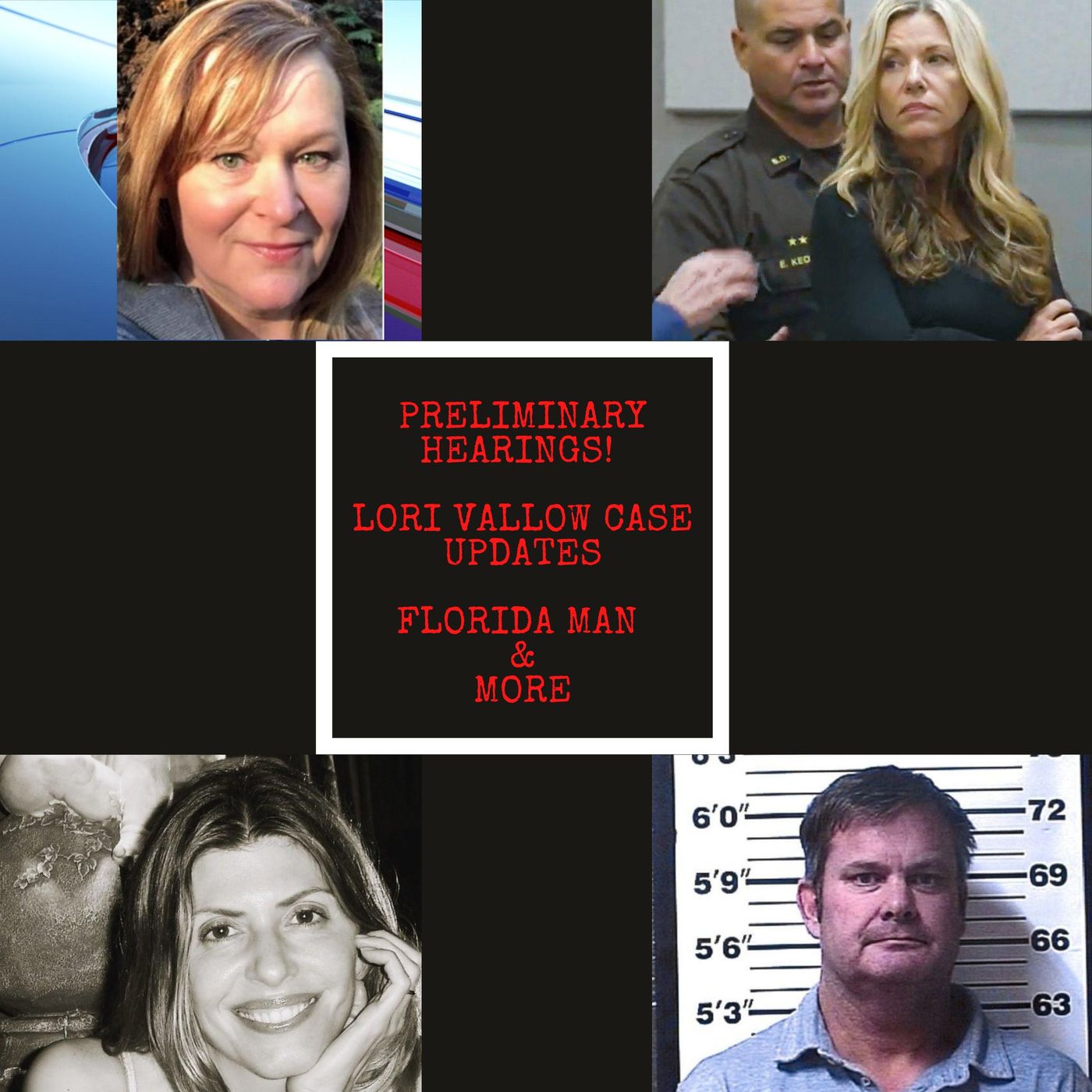 cover of episode The Lori Vallow Case, Preliminary Hearings, Florida Man & More