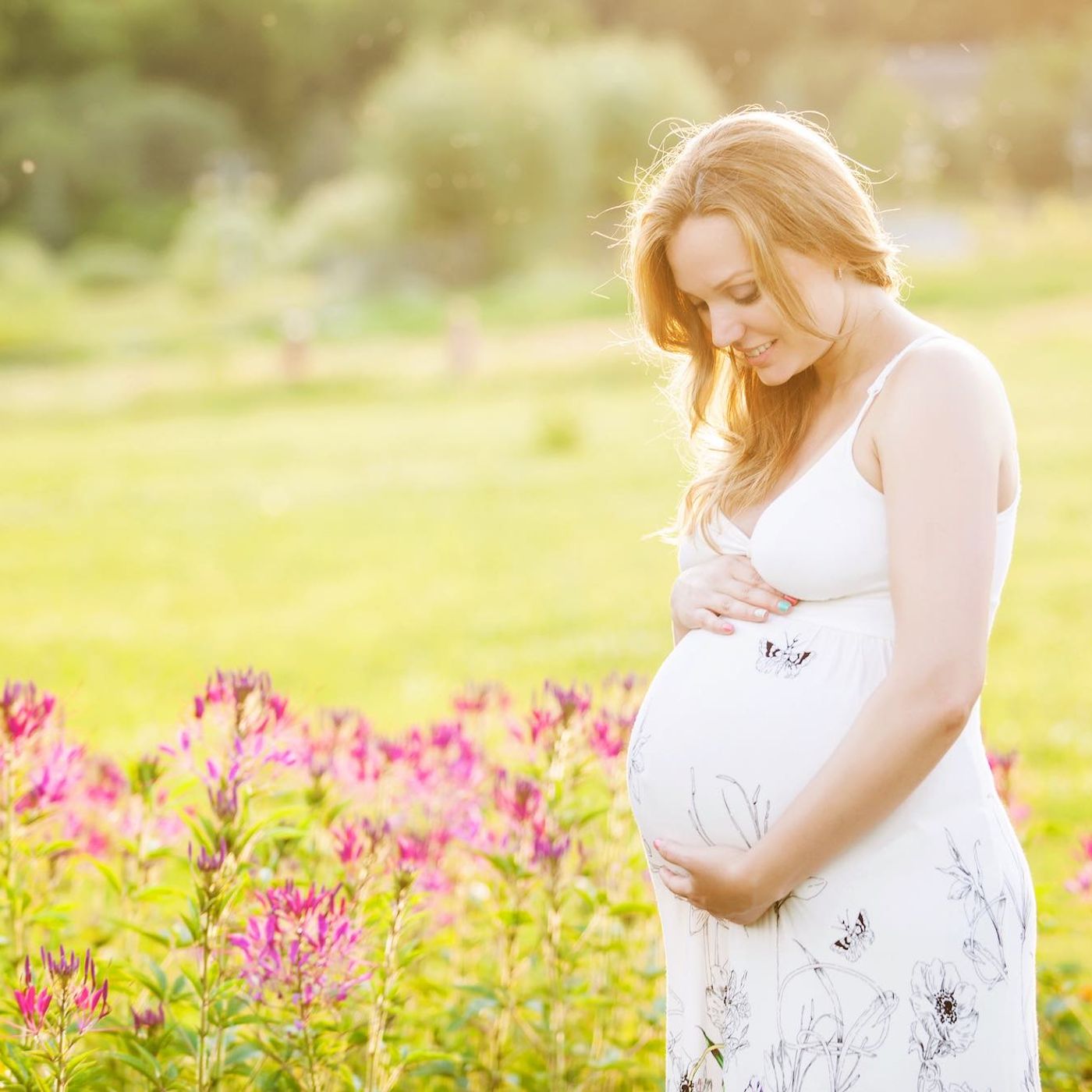 Pregnancy Care cover art