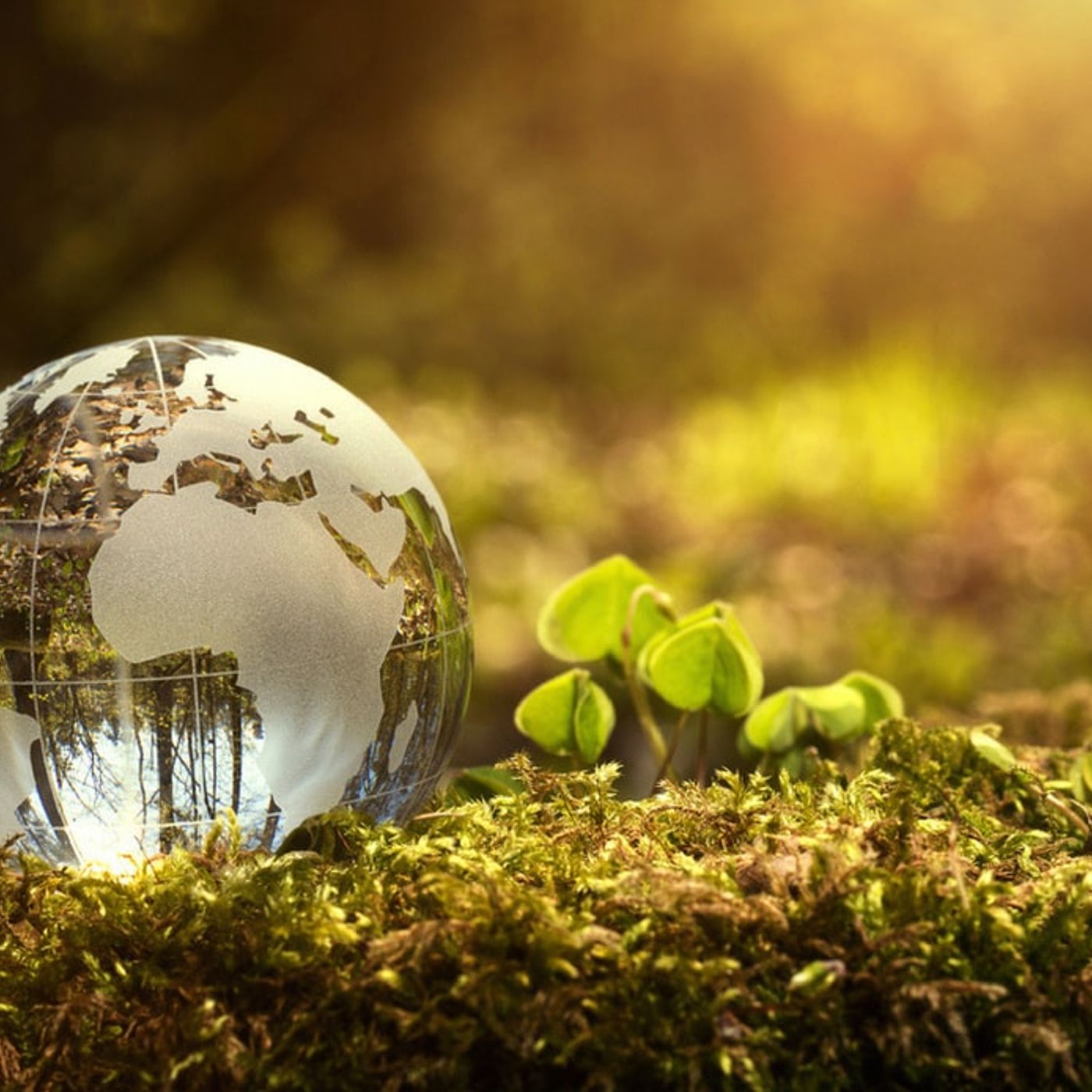 Lo show di B-Radio 42019