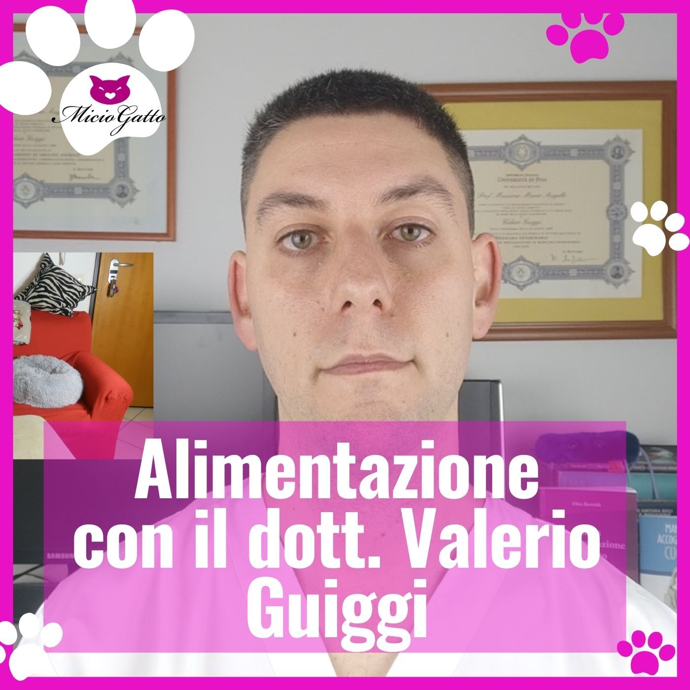 MicioGatto - Tutto sui gatti!