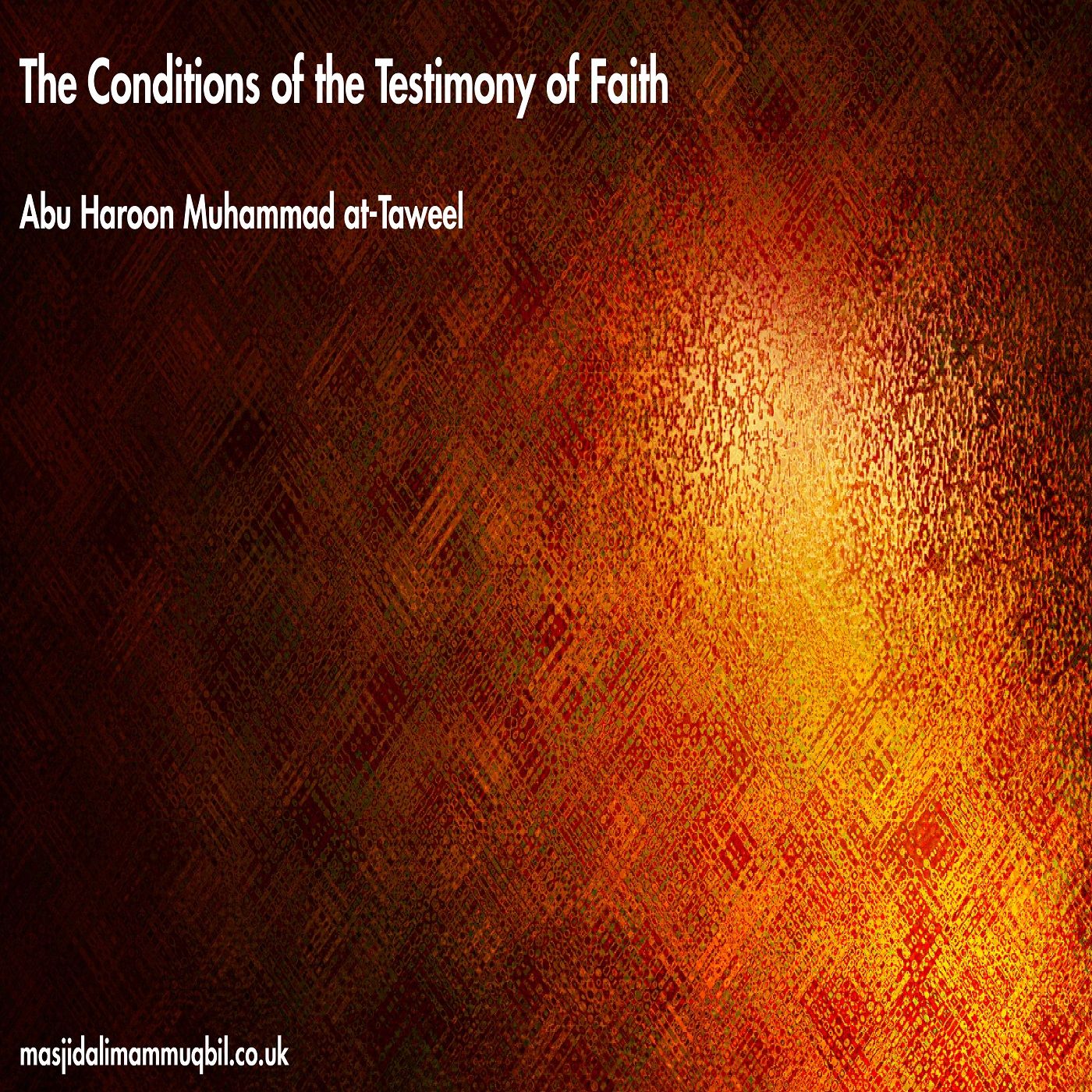 The Conditions of the Testimony of Faith | Abu Haroon Muhammad at-Taweel episode artwork