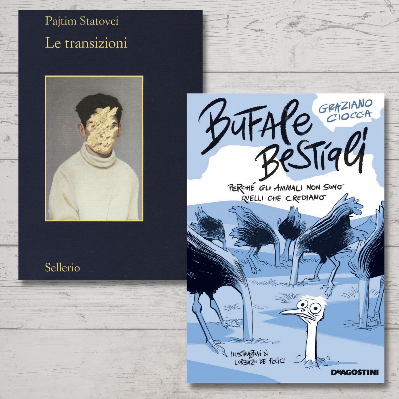 Archivio: Bookblister
