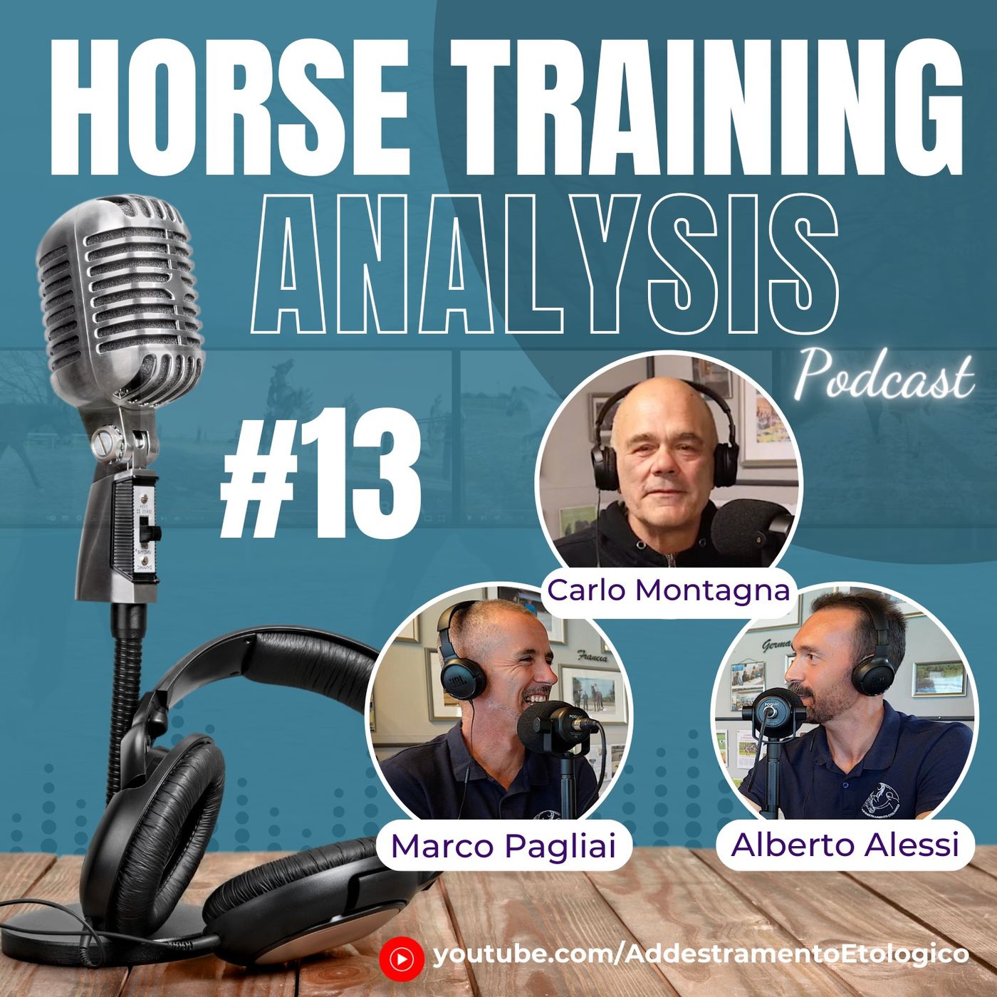 Horse Training Analysis