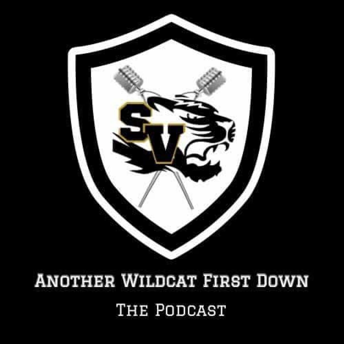 Episode 60- Fountain Central Recap & Look to Seeger