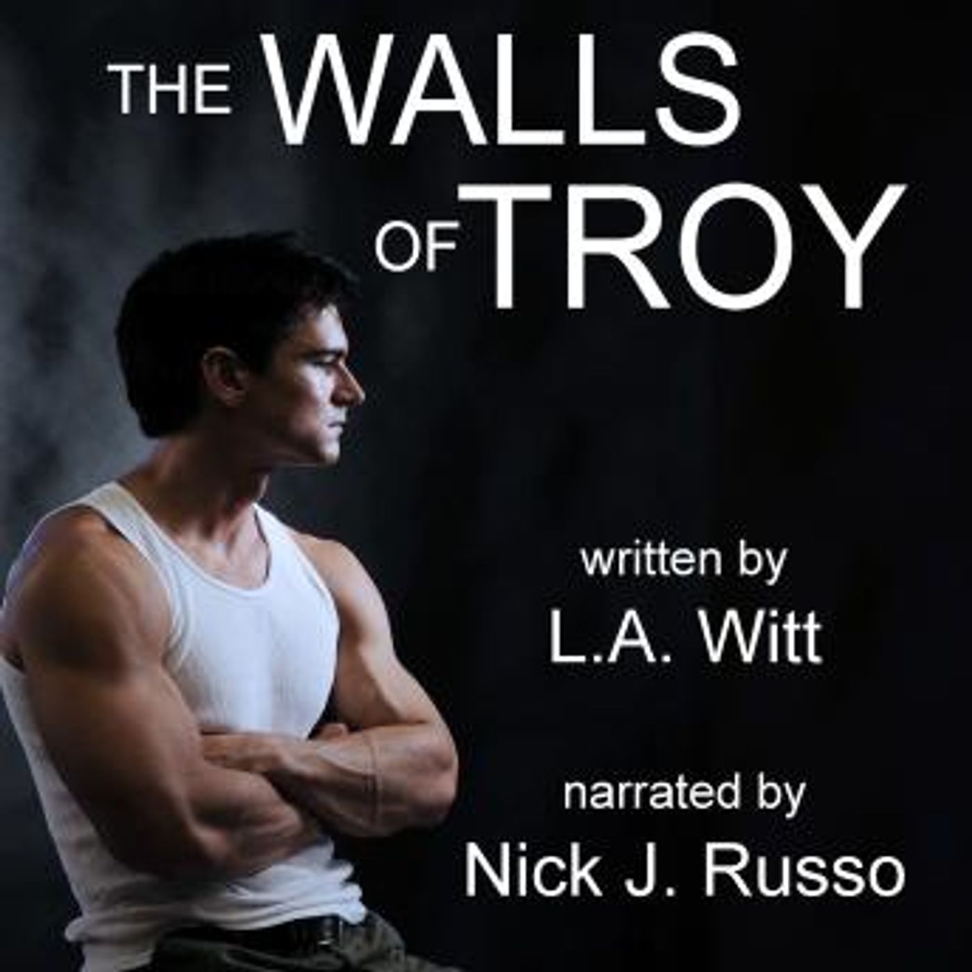 The Walls of Troy by L.A. Witt episode artwork
