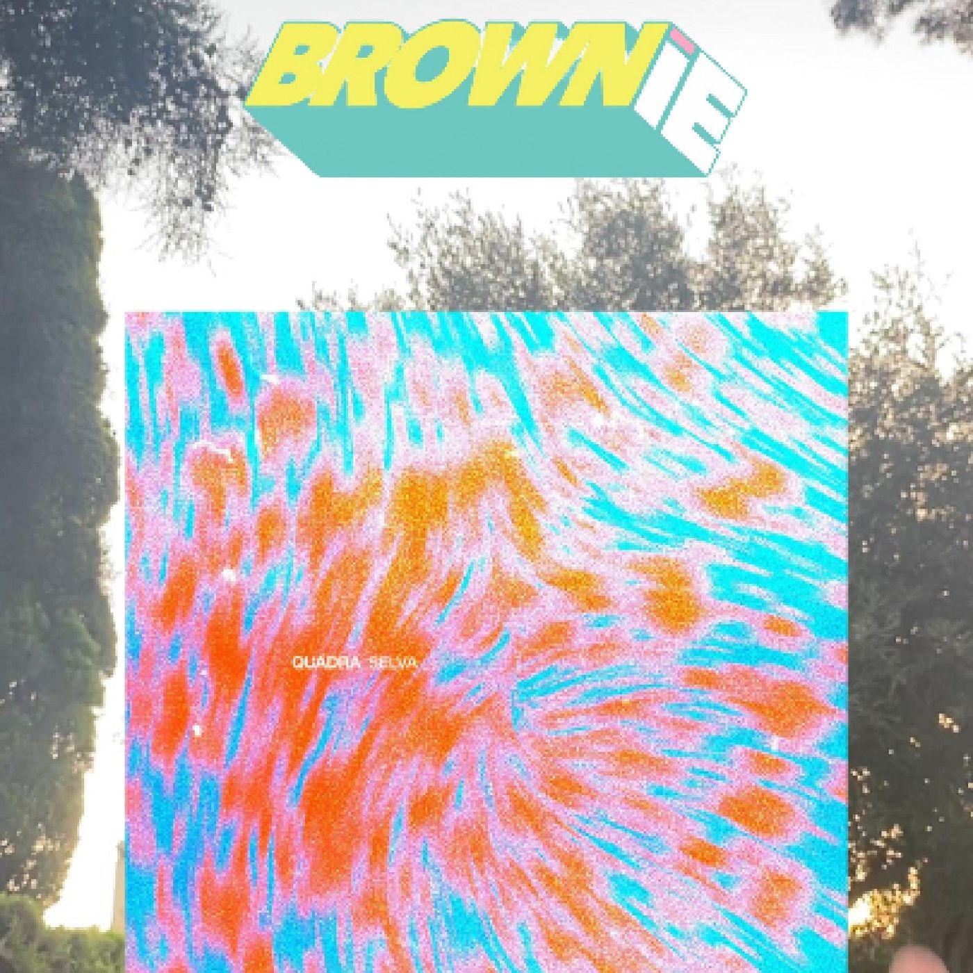 Brownie