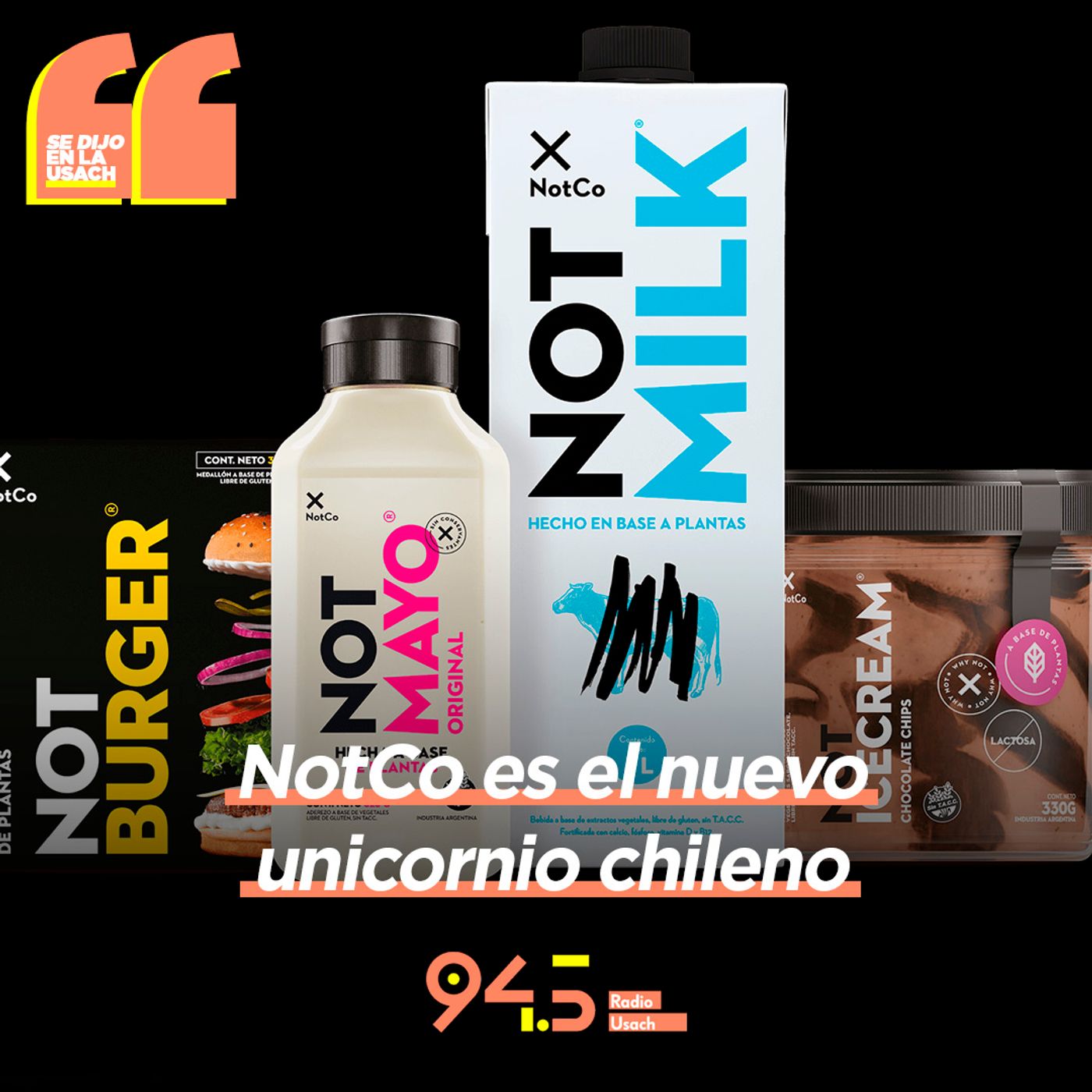 Se dijo en la Usach