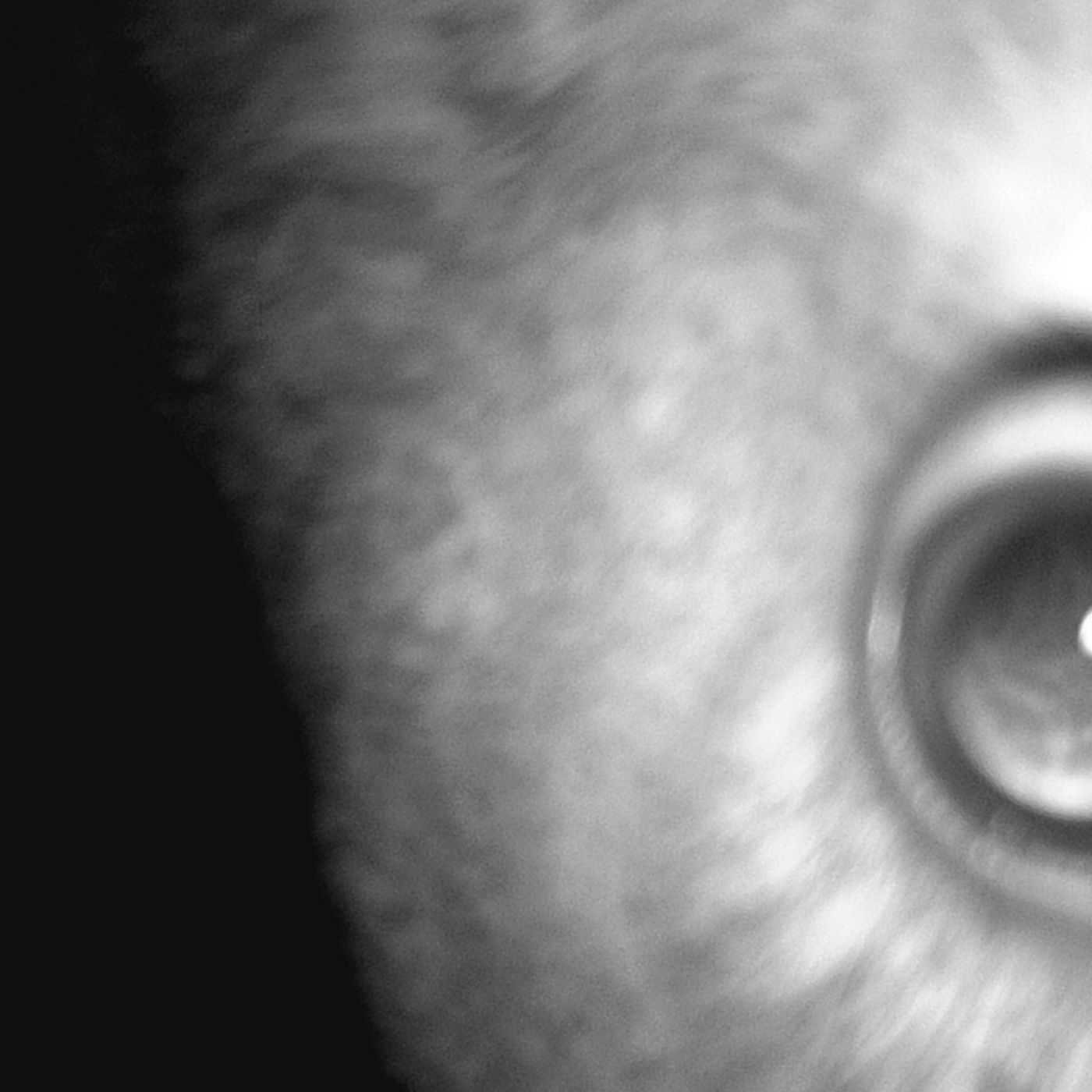 moronavirus episode#1