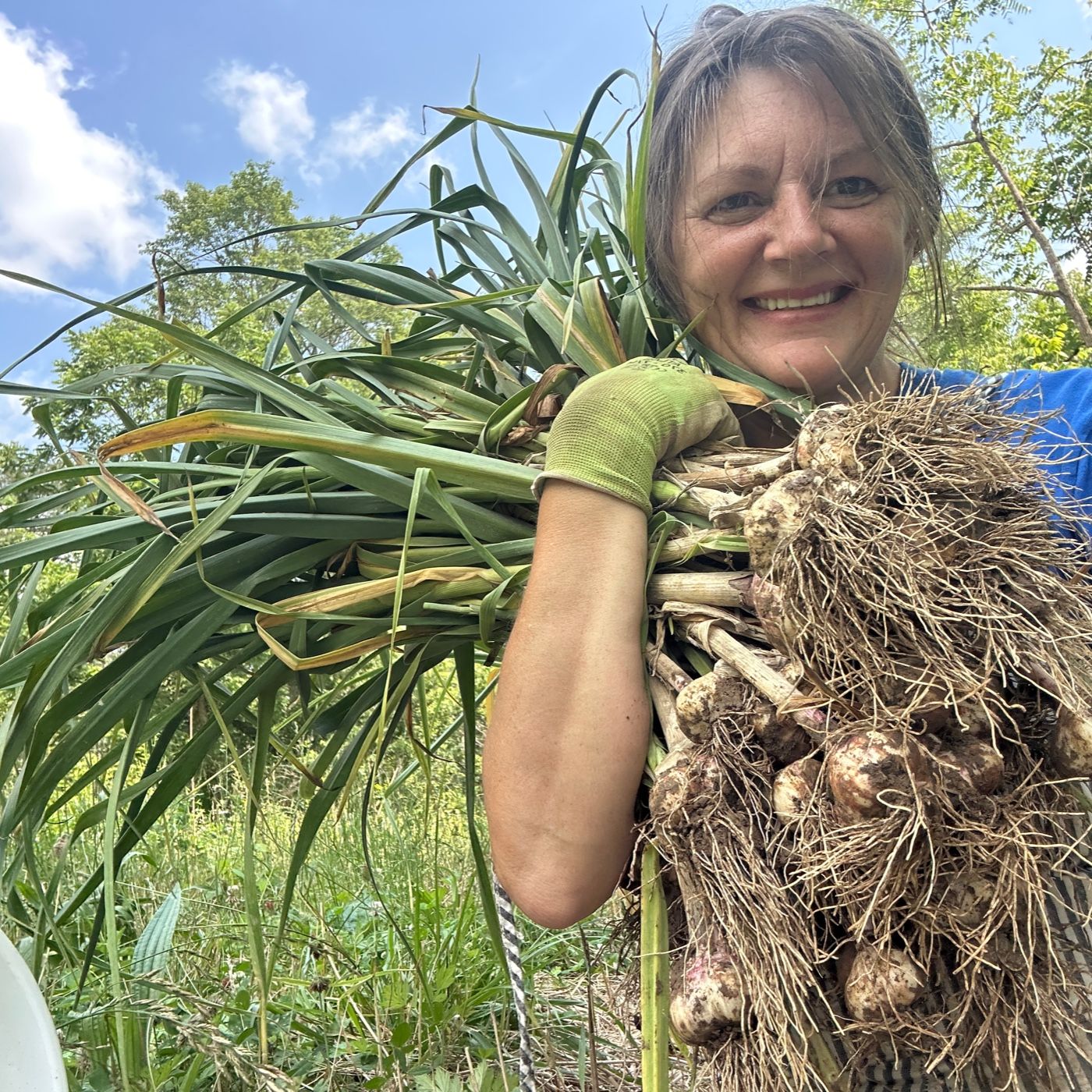 In the Dirt Deeply Rooted
