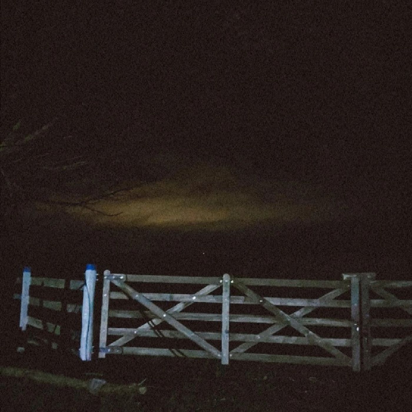 Boulevard episode artwork