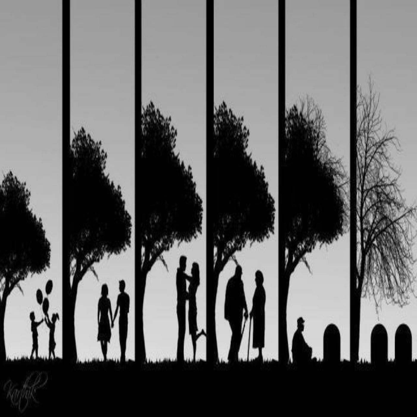 Life episode artwork
