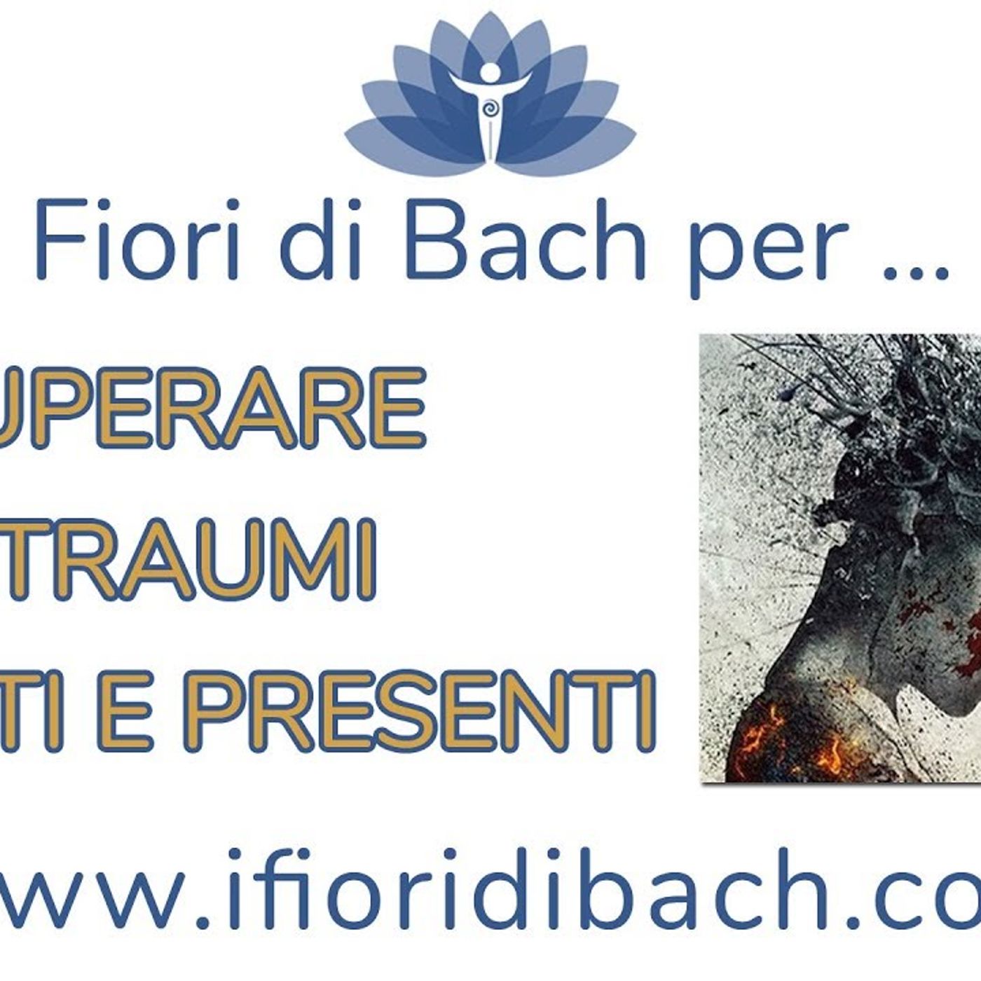 Fiori di Bach per superare i traumi passati e presenti episode artwork