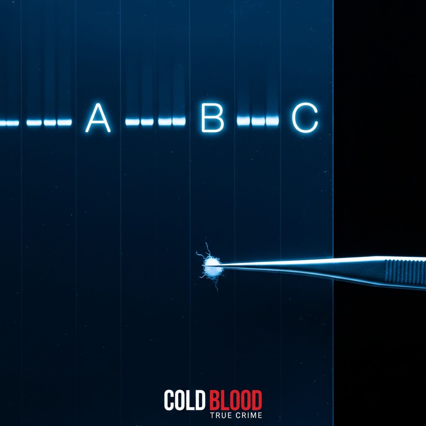 The Moses Sithole ABC Audit episode artwork