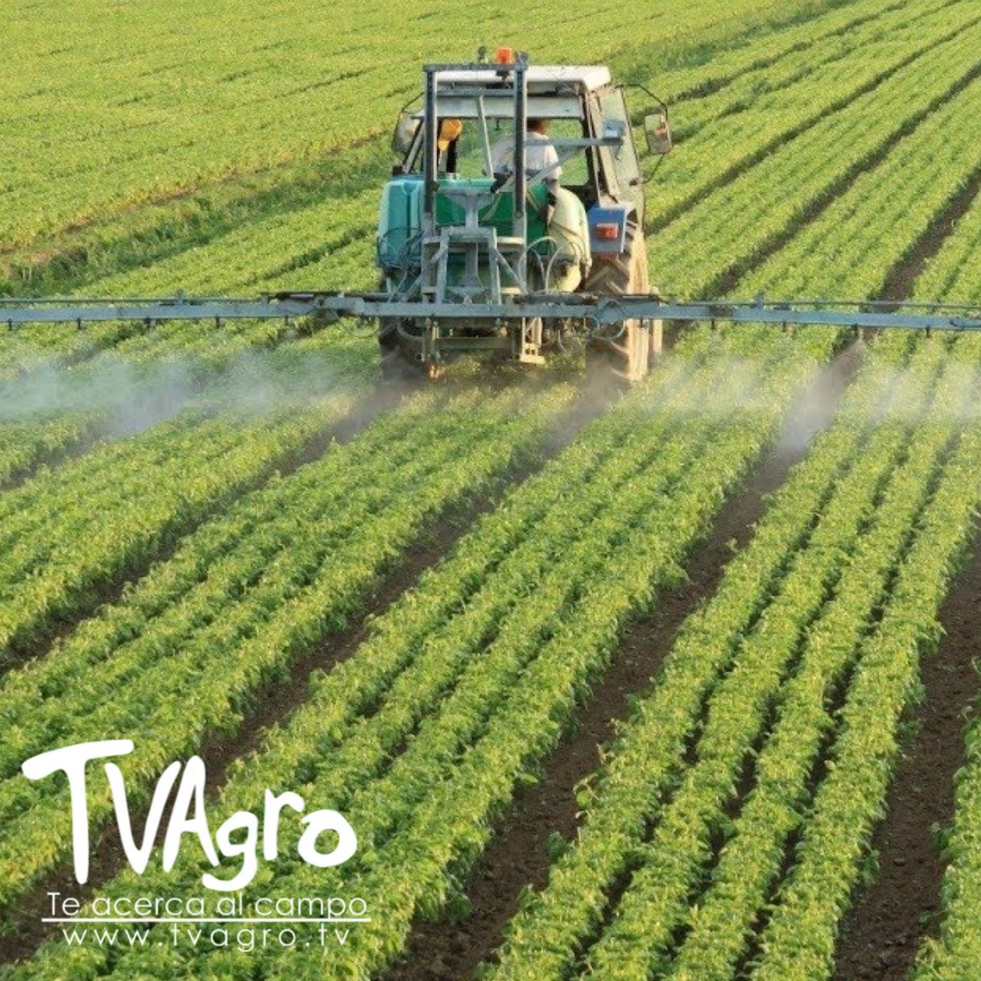 TV AGRO