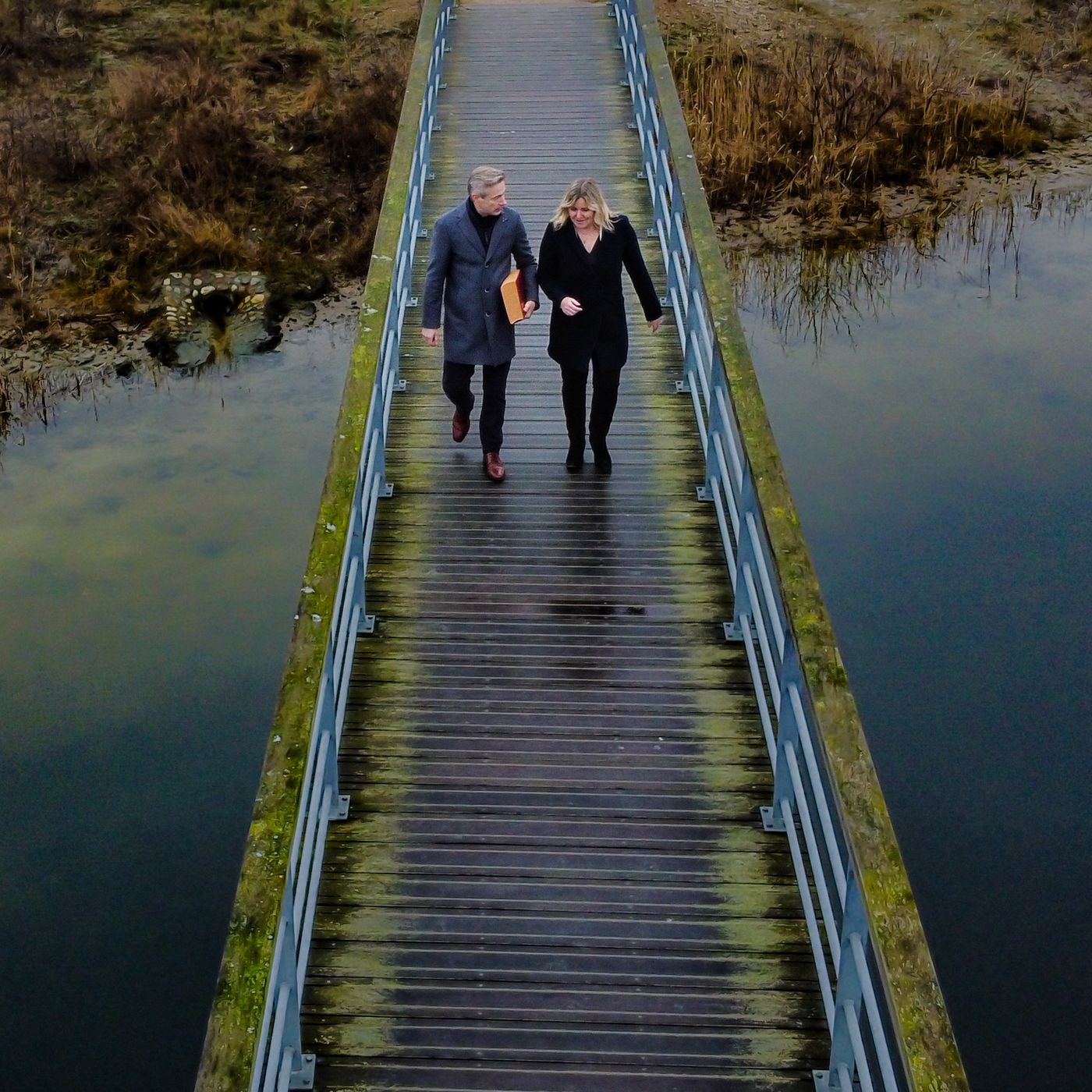 Formlen for fremtidig Ledelse - Podcastserie af Lise Bartell