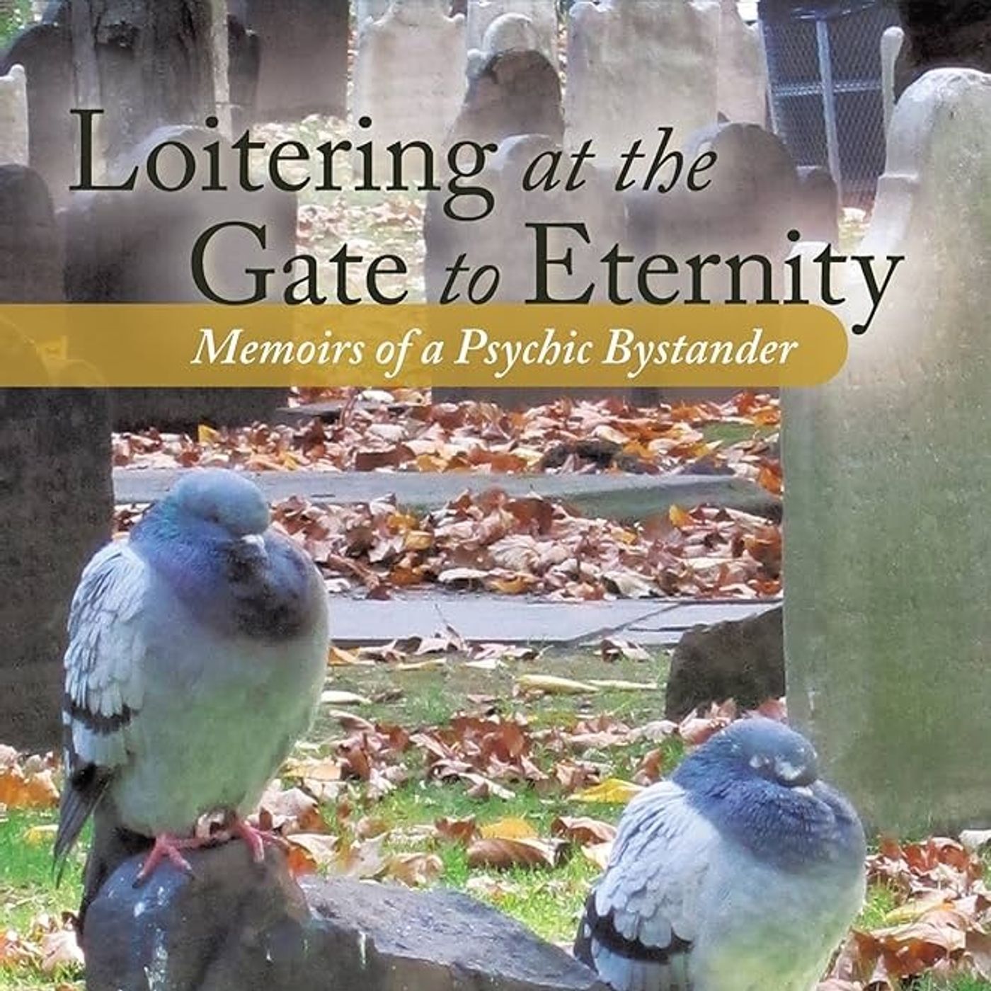 Rob McConnell Interviews - LOUISA OAKLEY GREEN - Loitering at the Gate to Eternity