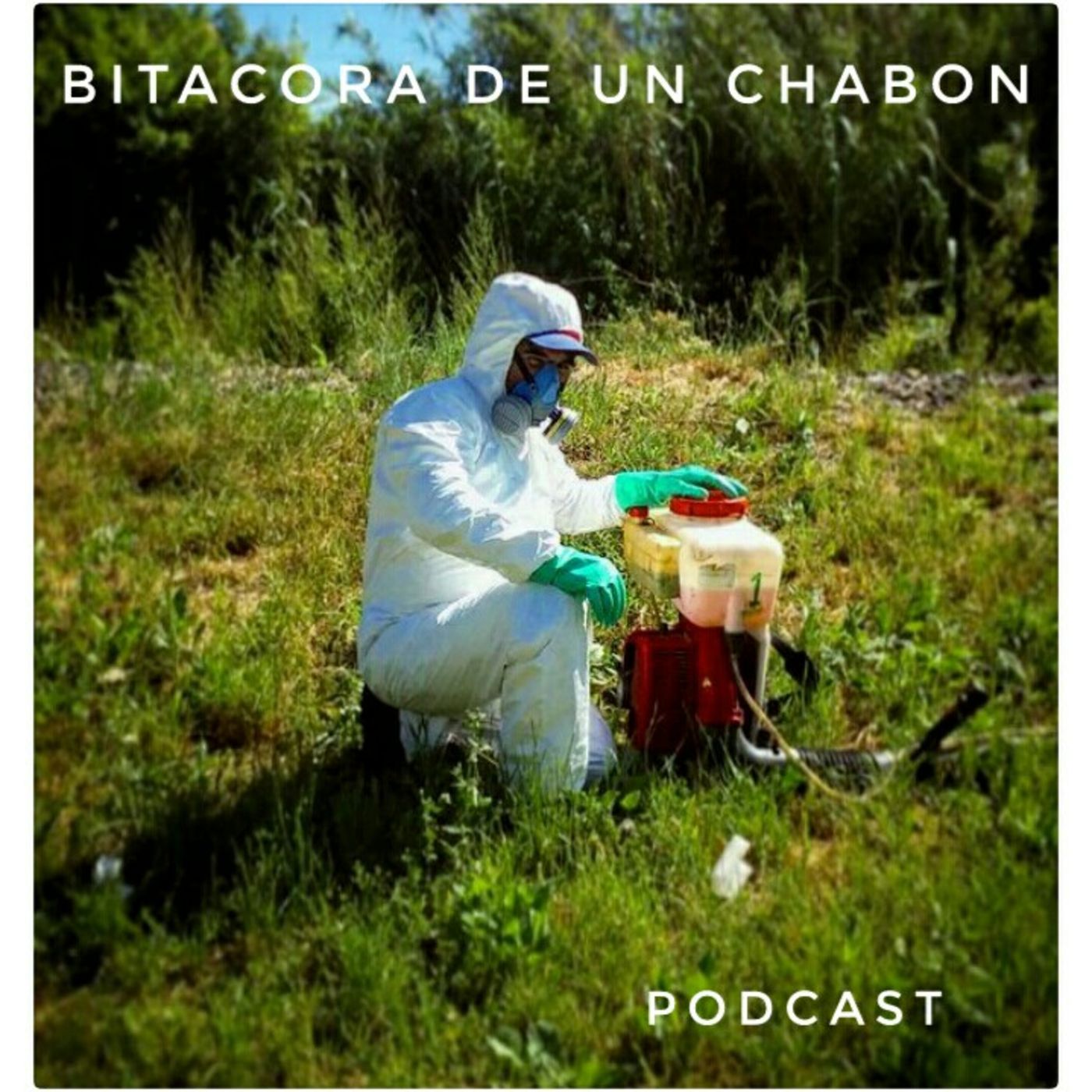 Bitácora De Un Chabon