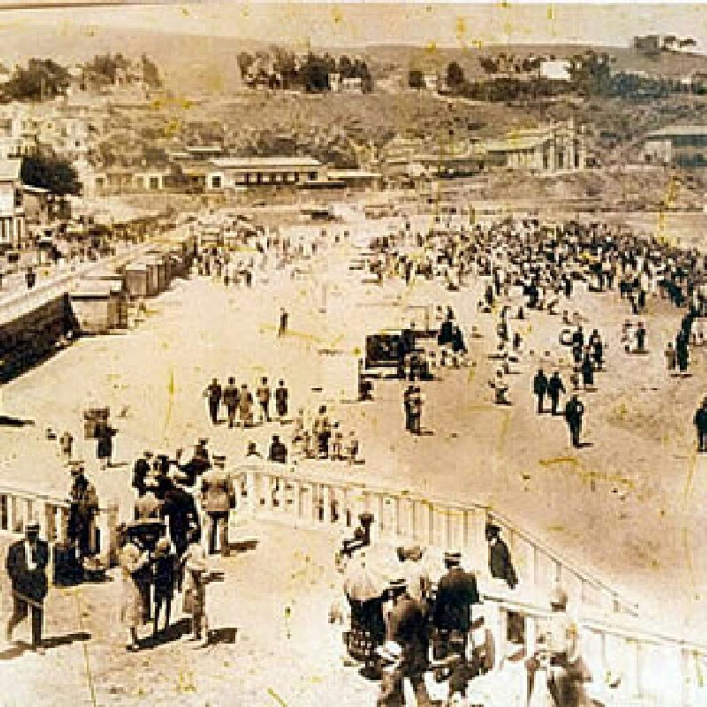 El show de Alfonso Loyola Arriagada