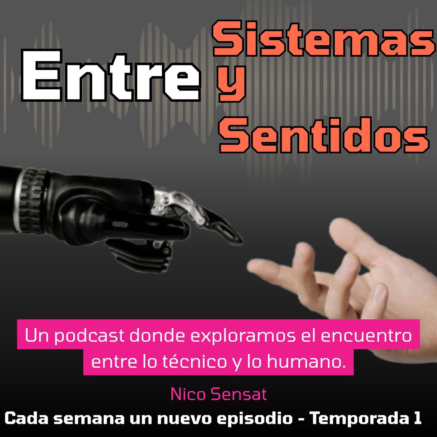 Entre sistemas y sentidos