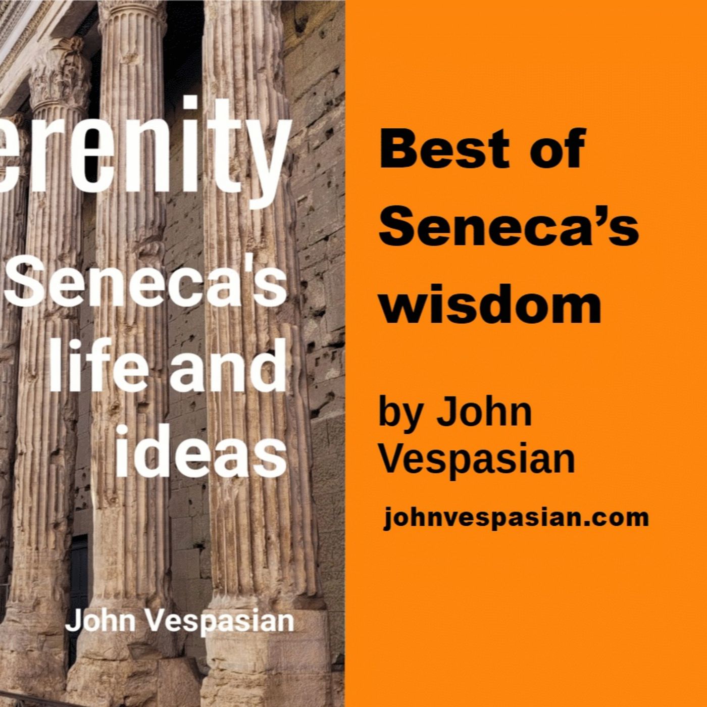 Best of Seneca's wisdom episode artwork