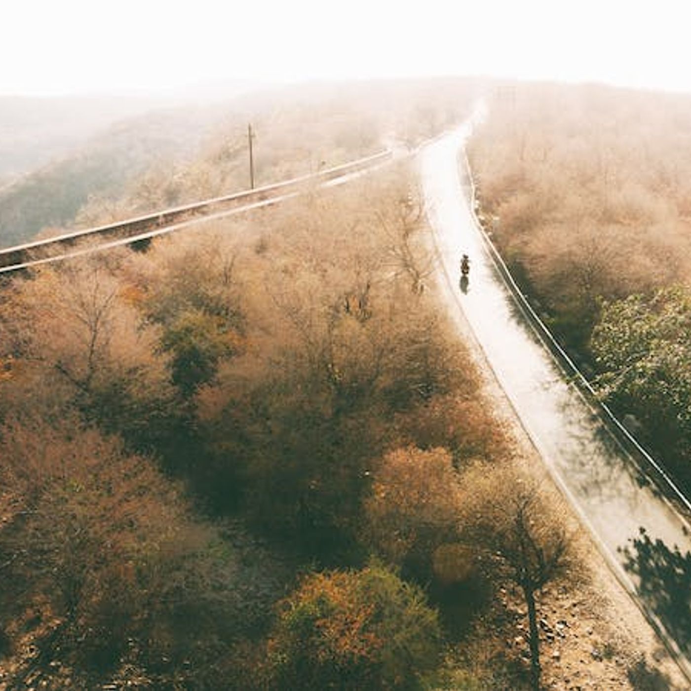 How Does God Lead Us in Daily Decisions?