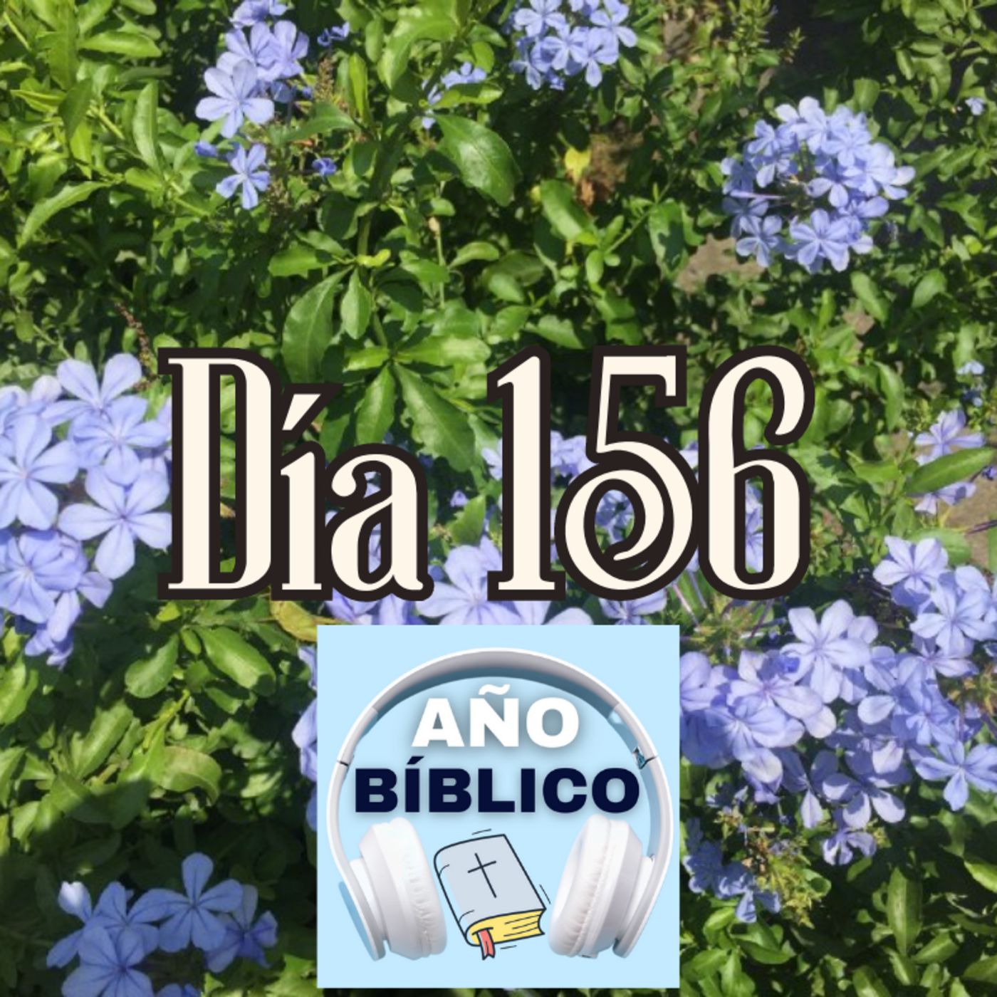 Día 156 - Salmos 69:1-8, 1 Reyes 15-16 y Hechos 22:17-23 episode artwork