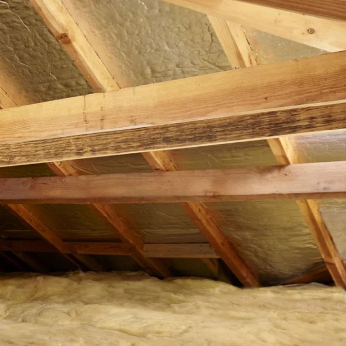 Better Batt Insulation