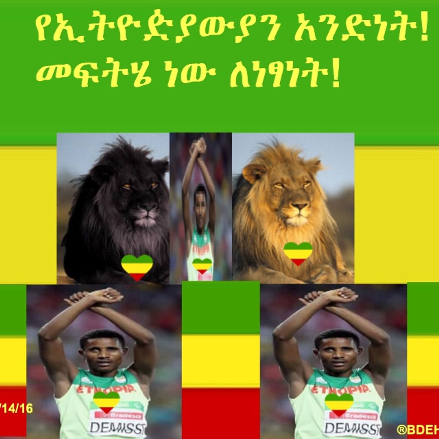የምርጥና ቆራጥ የኢትዮዽያ ጀግኖች!  ከኦላና ቶኮማ ዜና ዘገባ  08 episode artwork