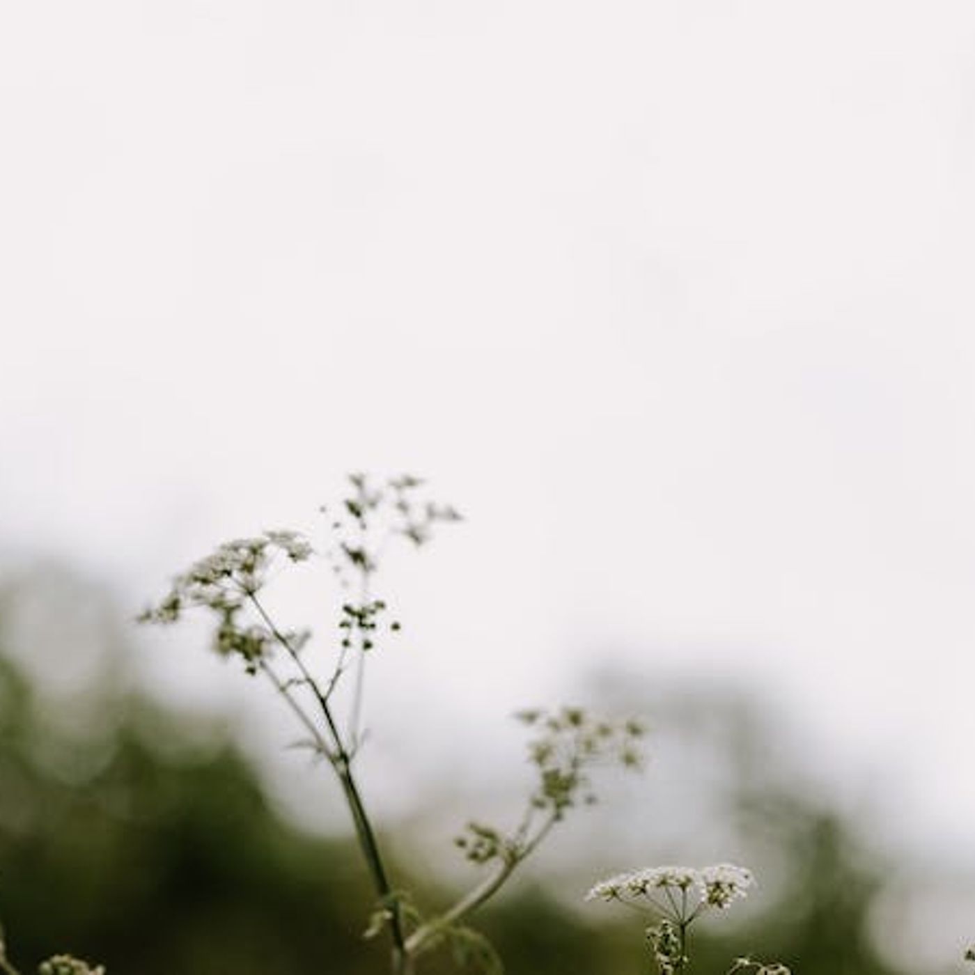 Why Comfortable Christians Go Prayerless