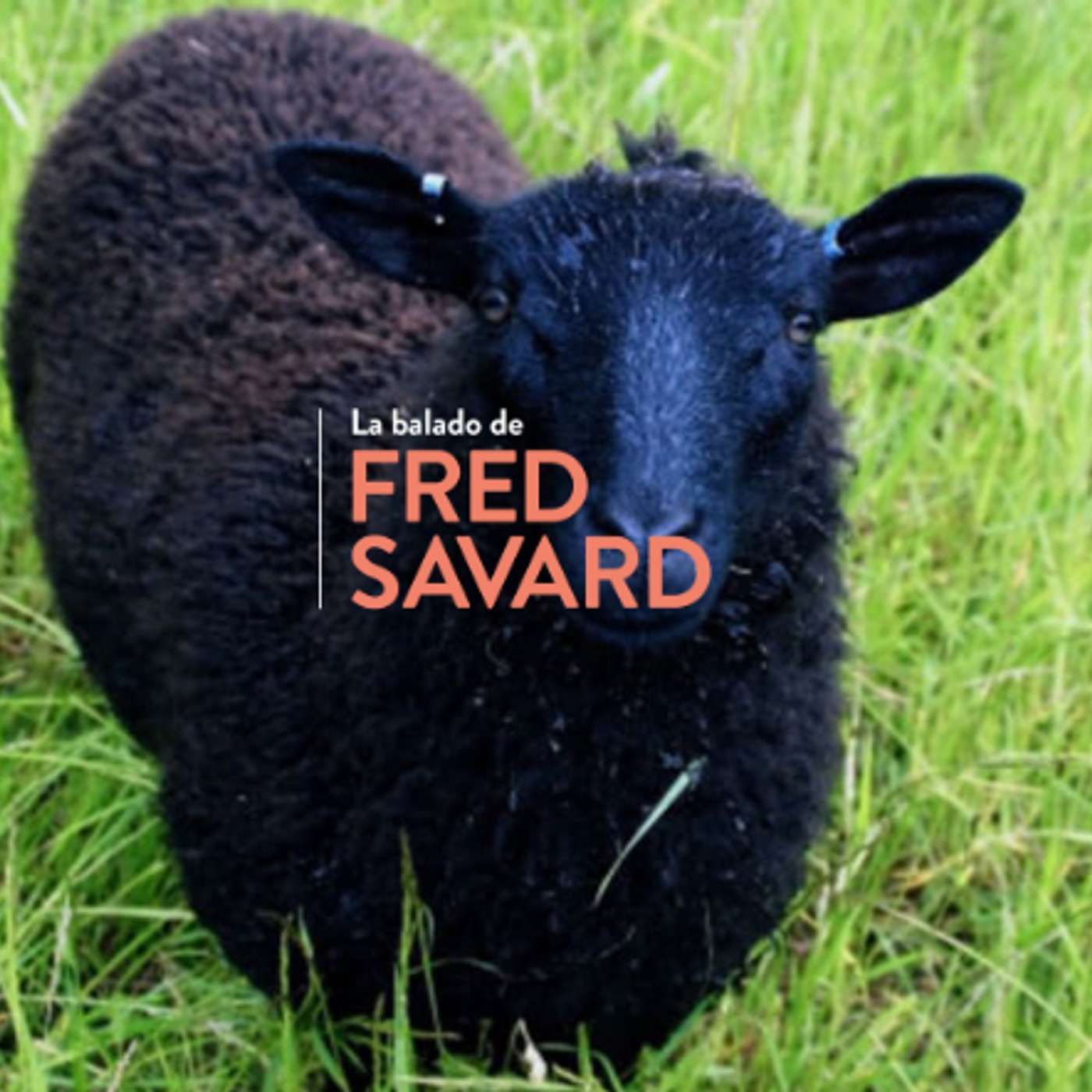 La balado de Fred Savard