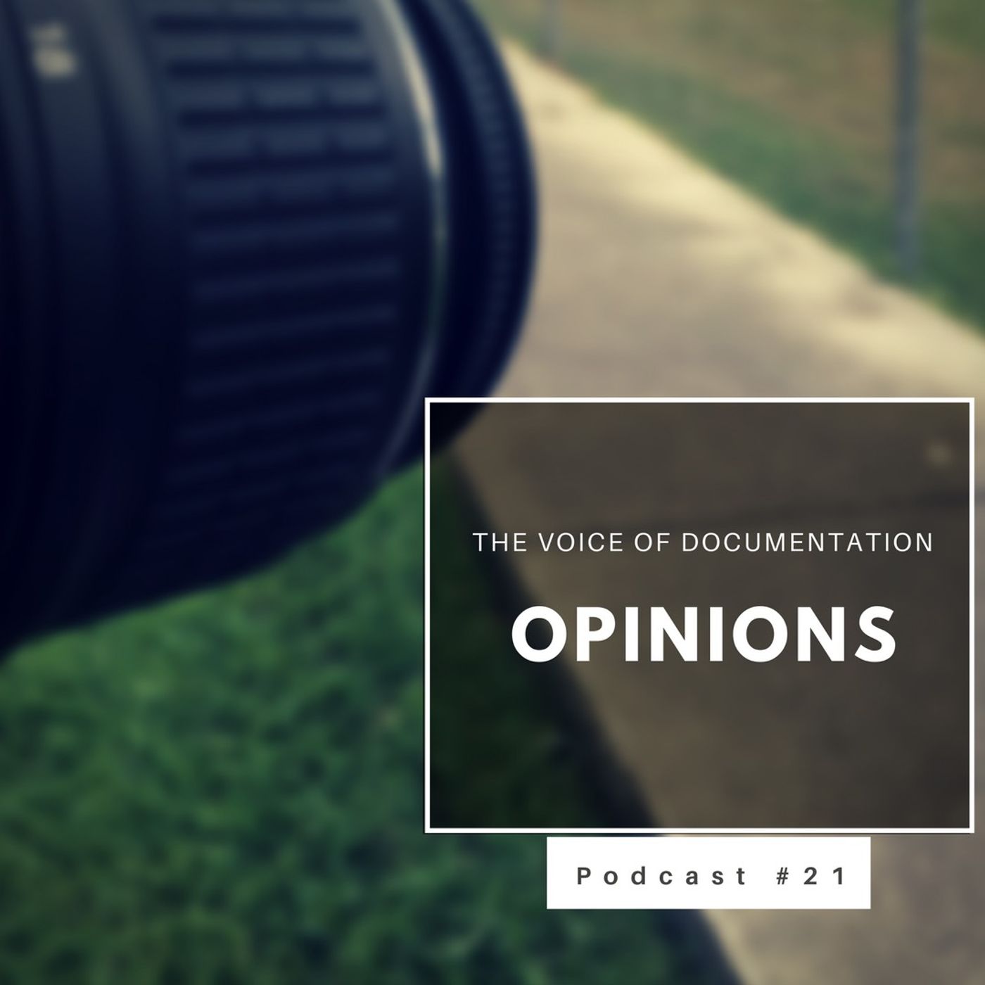 The Voice Of Documentation