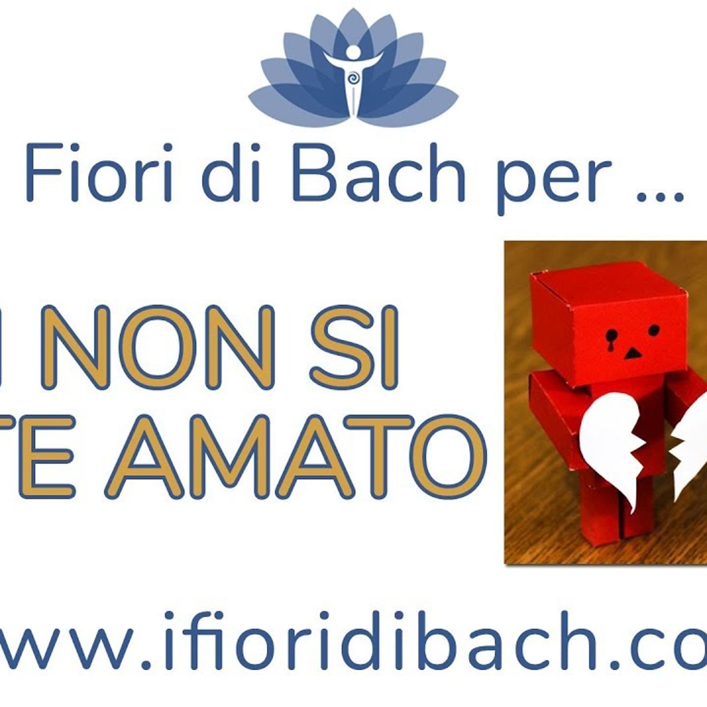 Fiori di Bach per chi non si sente amato episode artwork